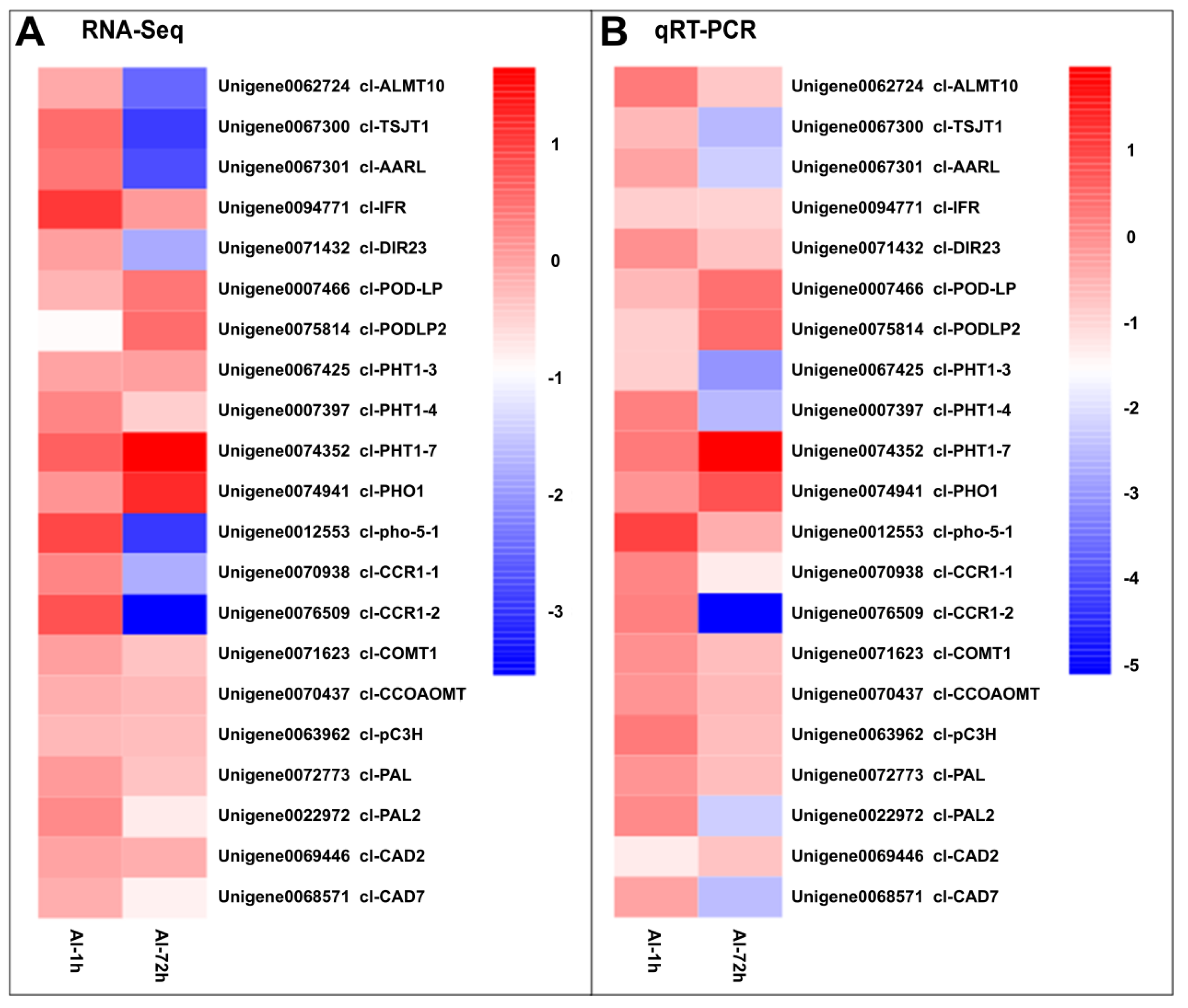 Genes 10 00835 g014