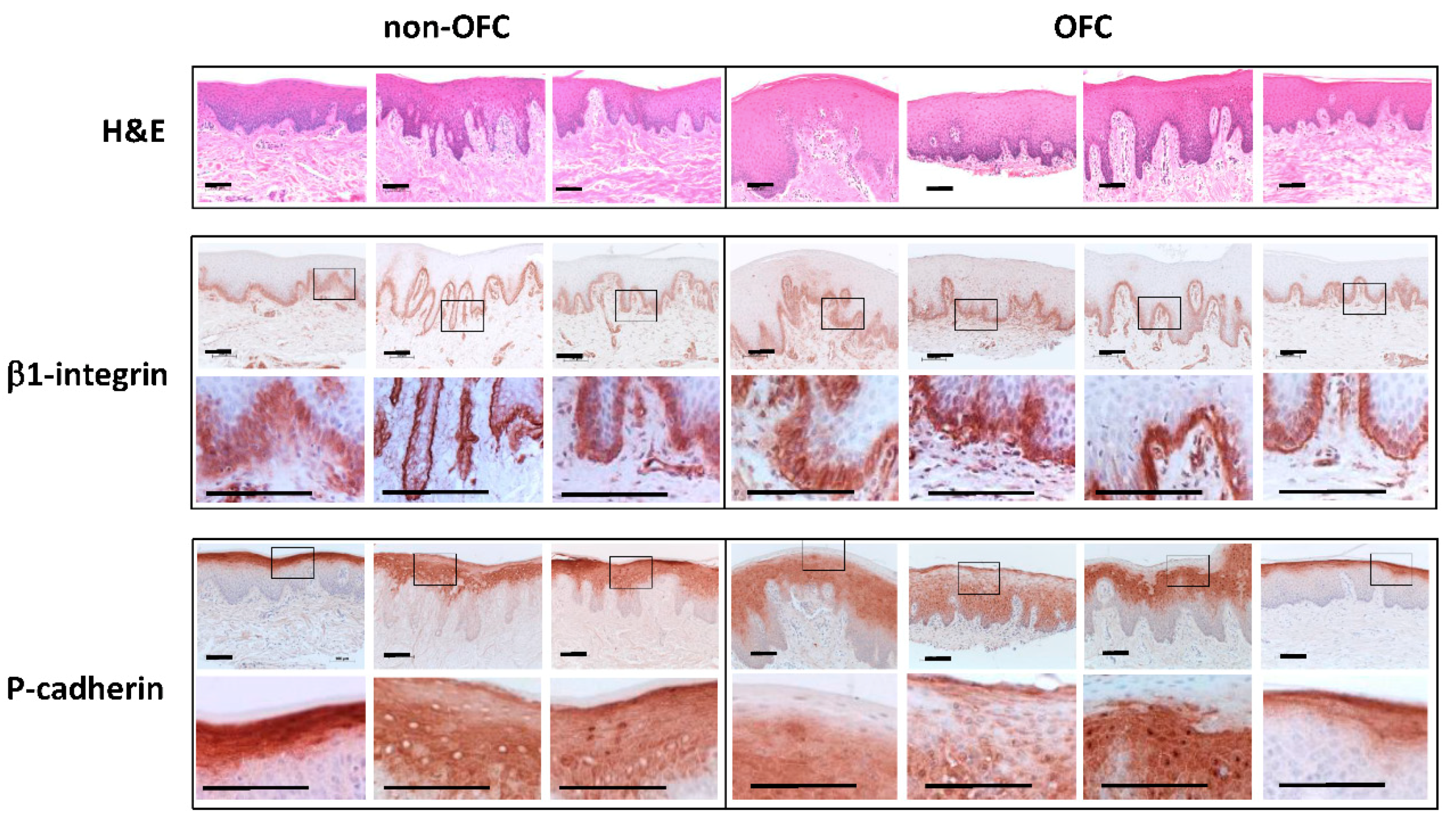 Genes 10 00836 g003 Genes 10 00836 g003