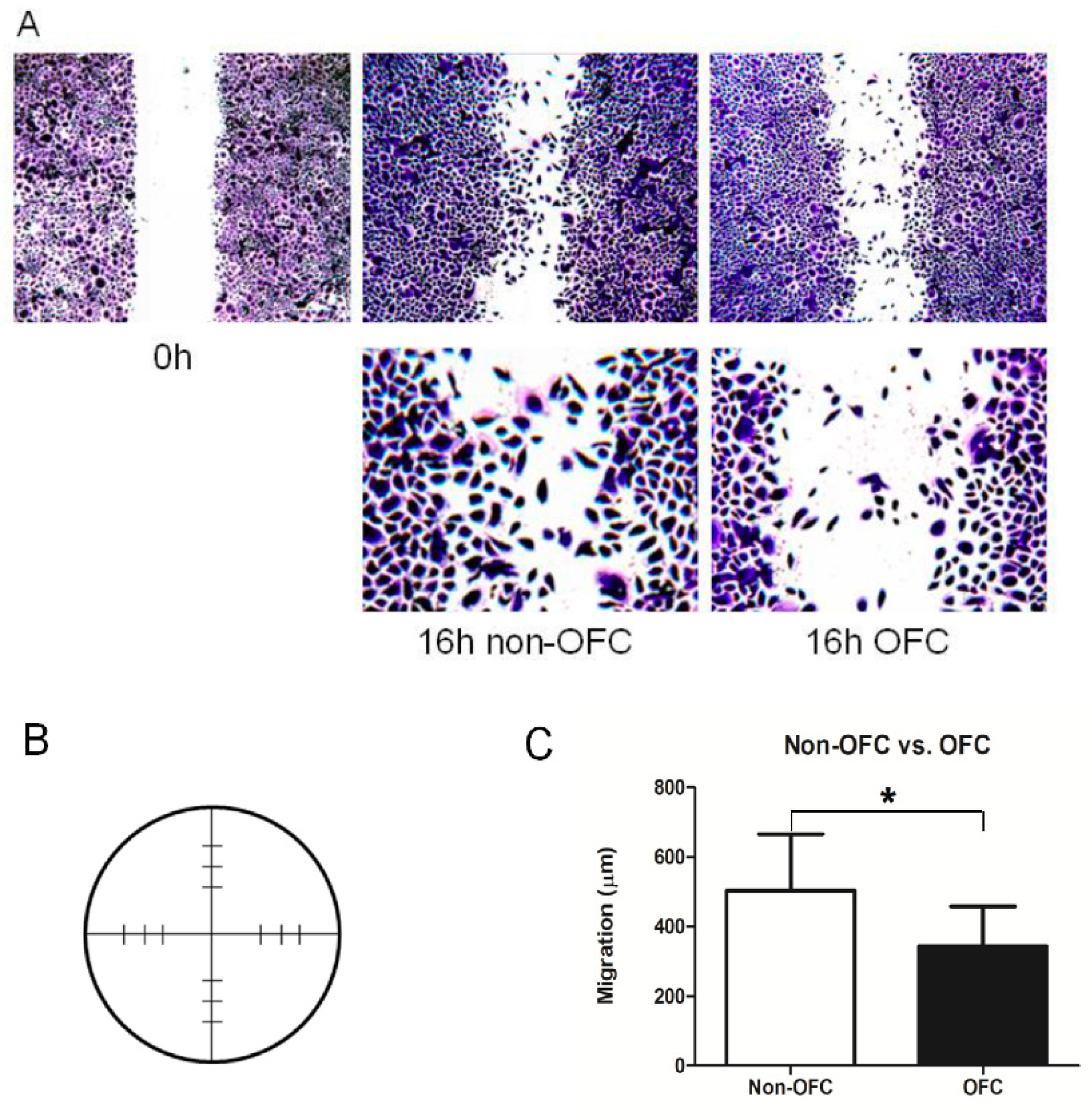Genes 10 00836 g004 Genes 10 00836 g004