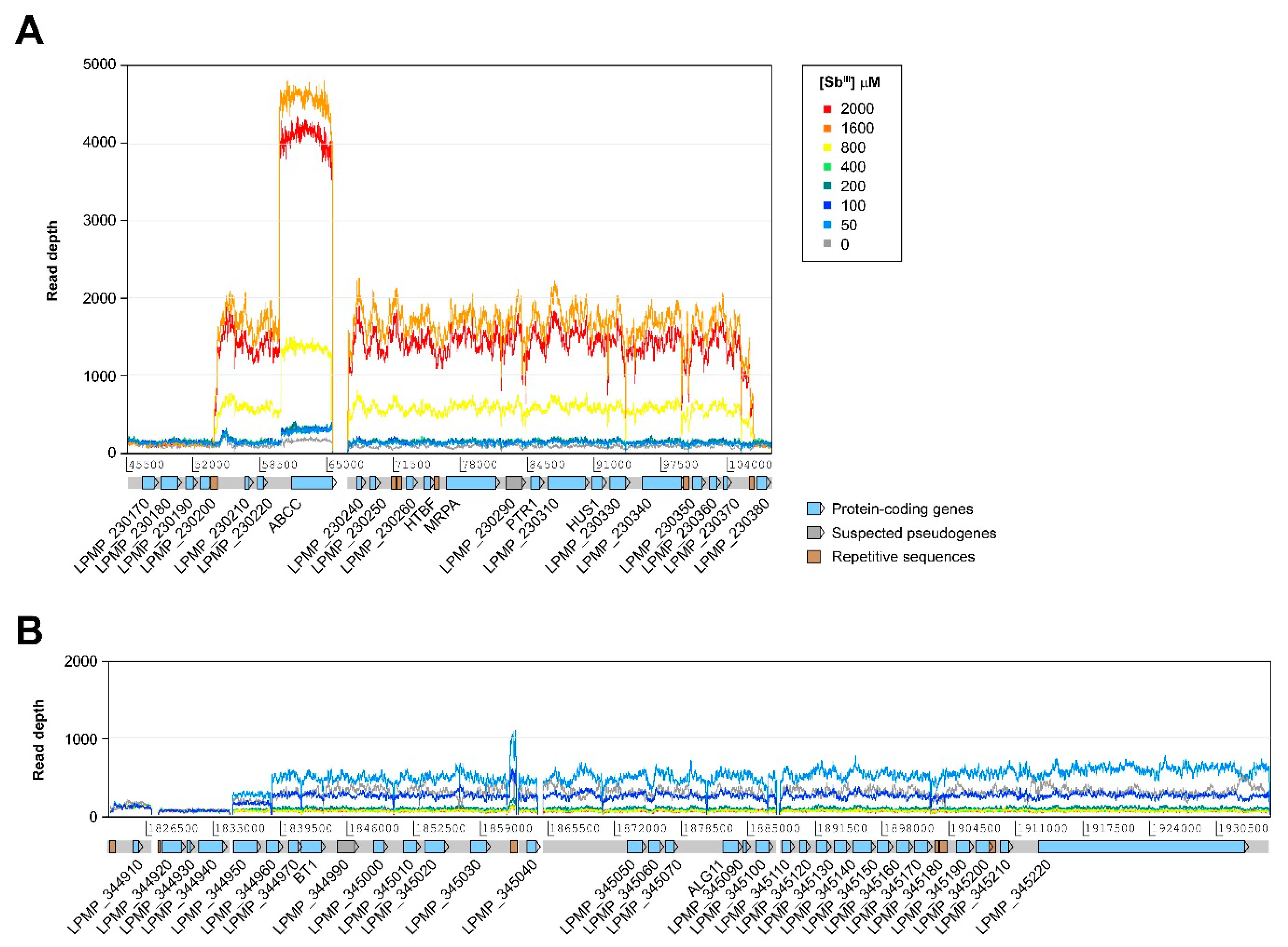 Genes 10 00838 g003