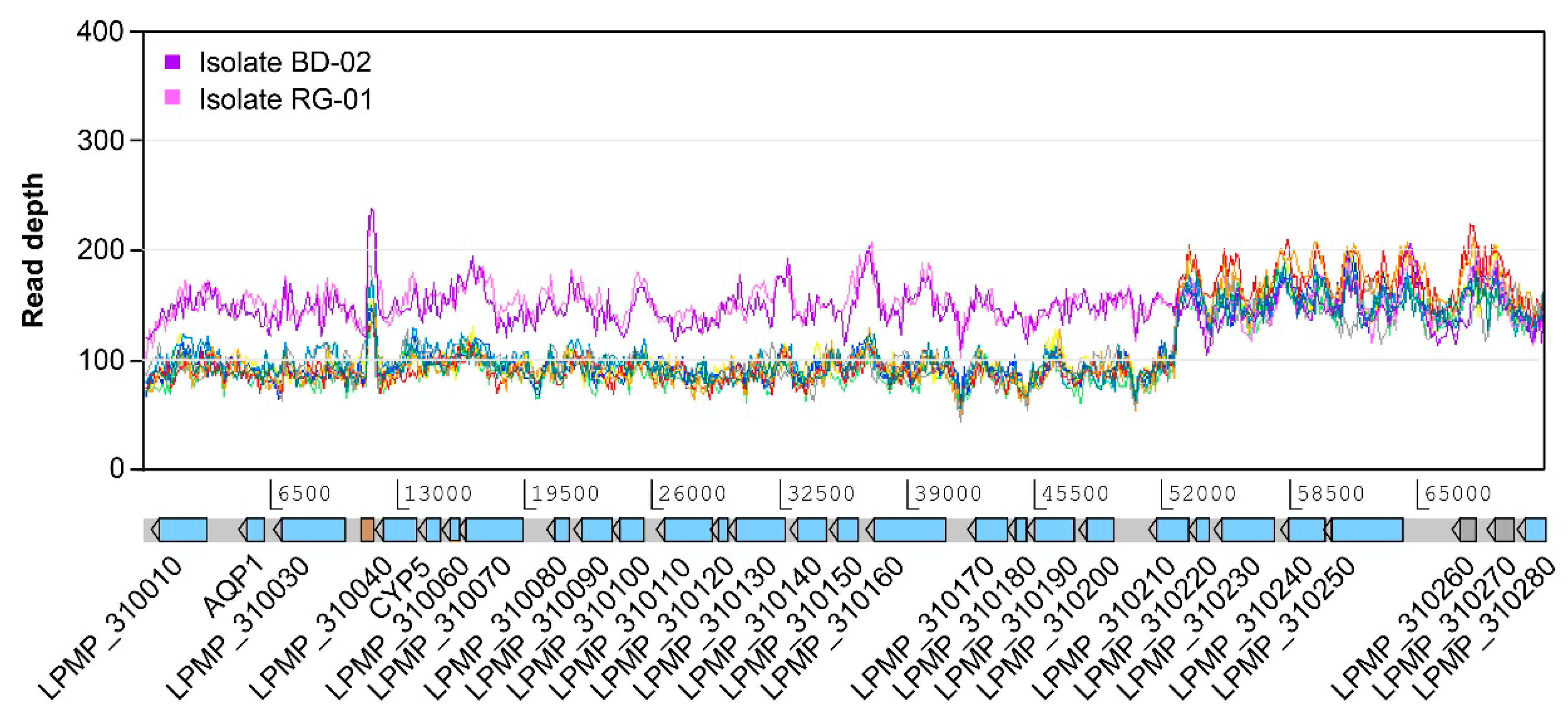 Genes 10 00838 g004