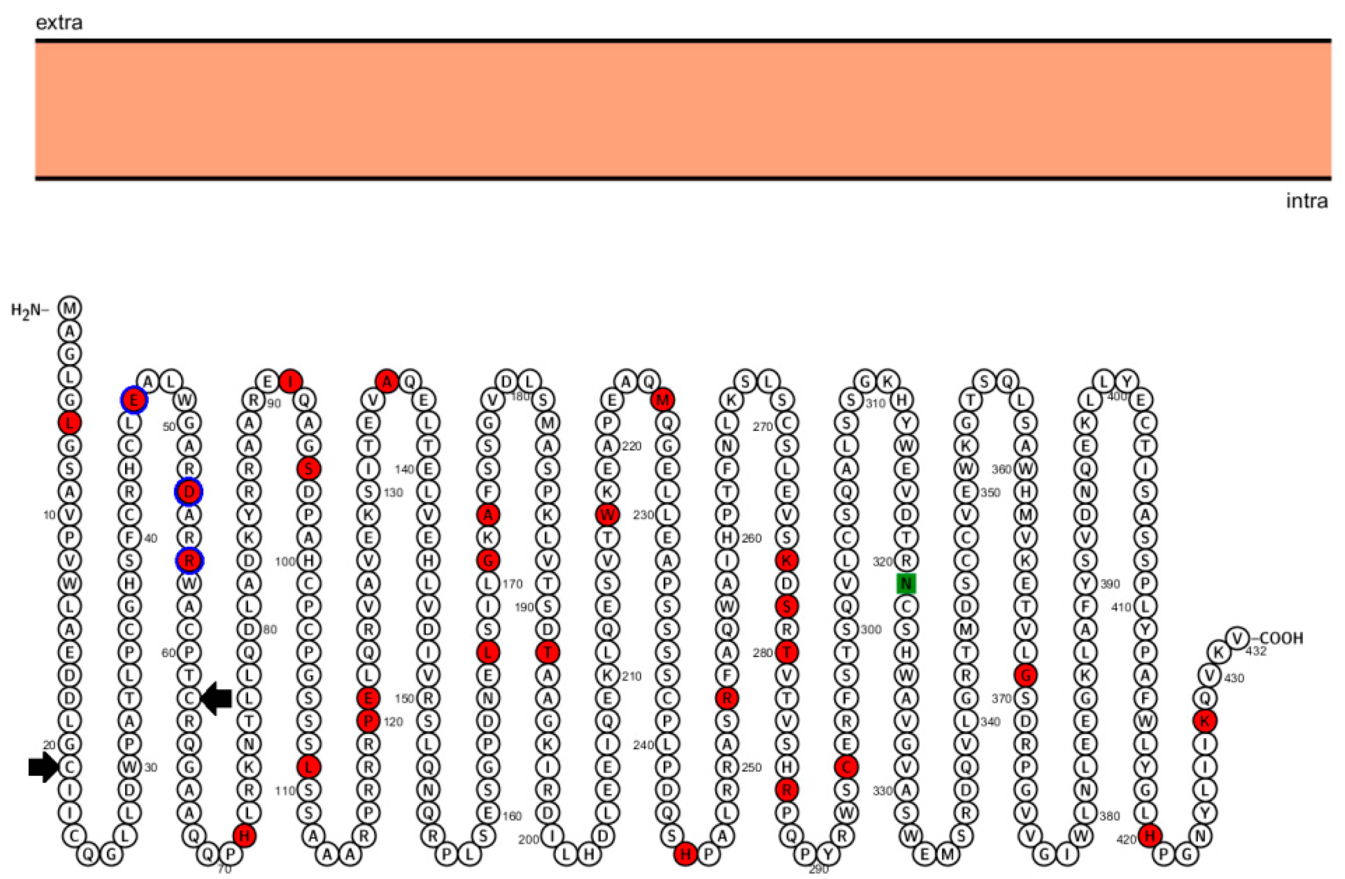 Genes 10 00839 g002