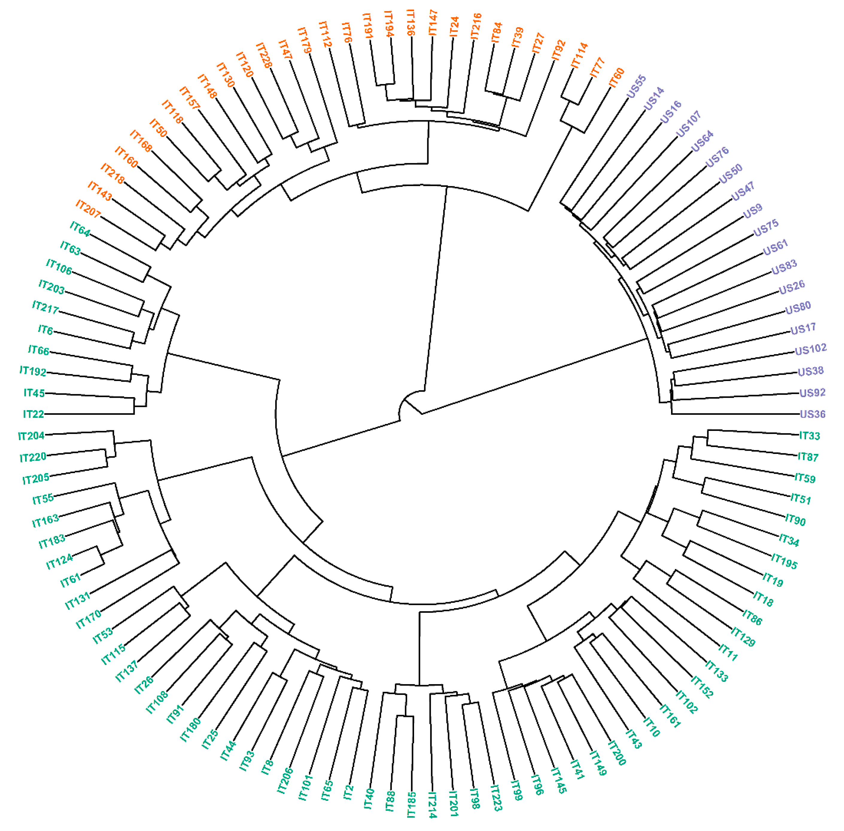 Genes 10 00841 g004