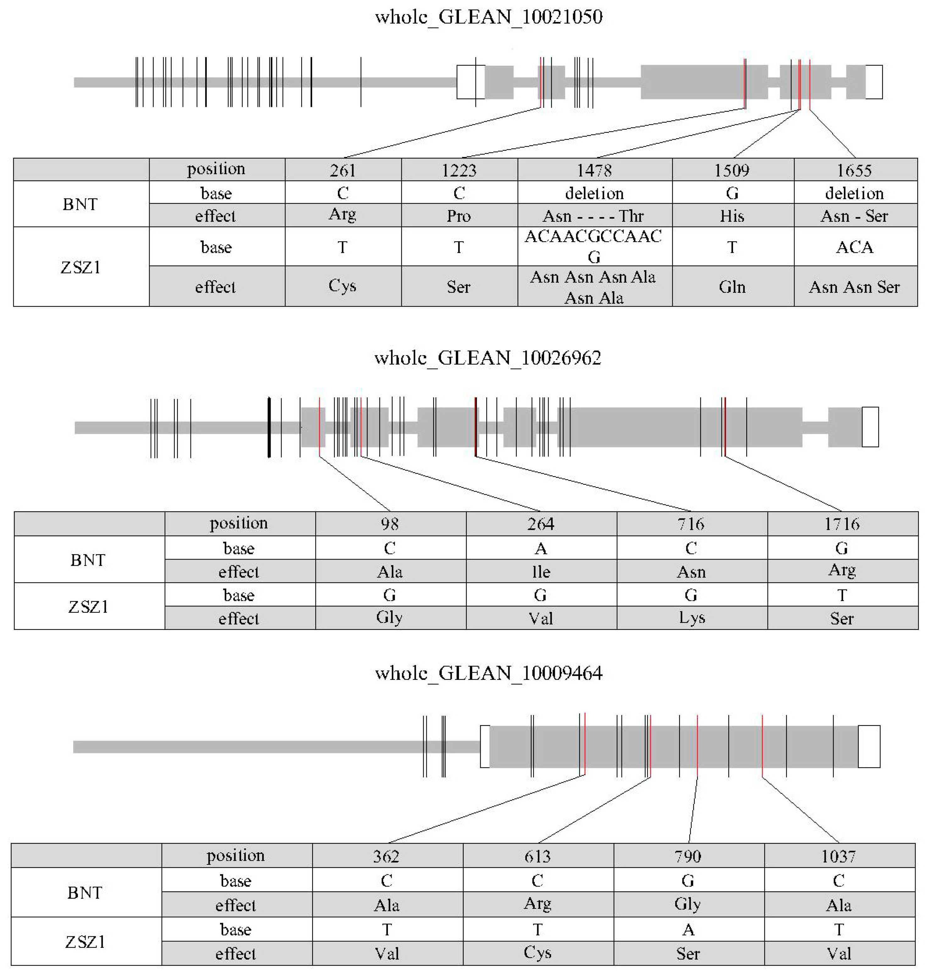 Genes 10 00842 g003 Genes 10 00842 g003
