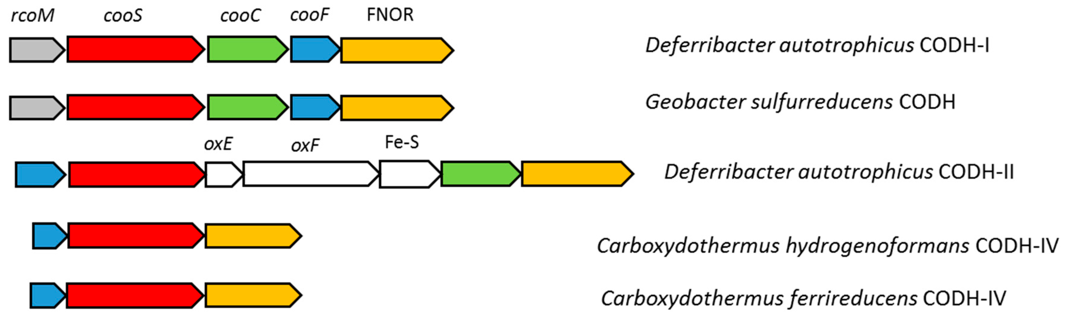 Genes 10 00849 g004
