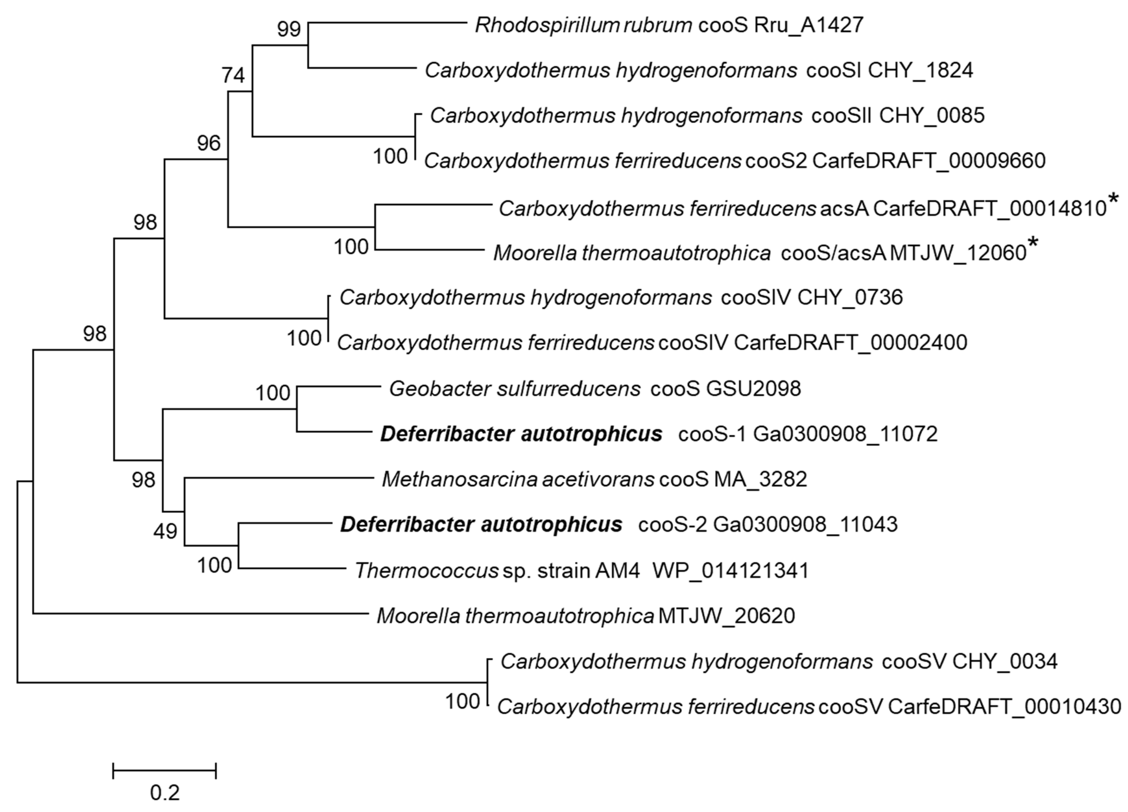 Genes 10 00849 g005