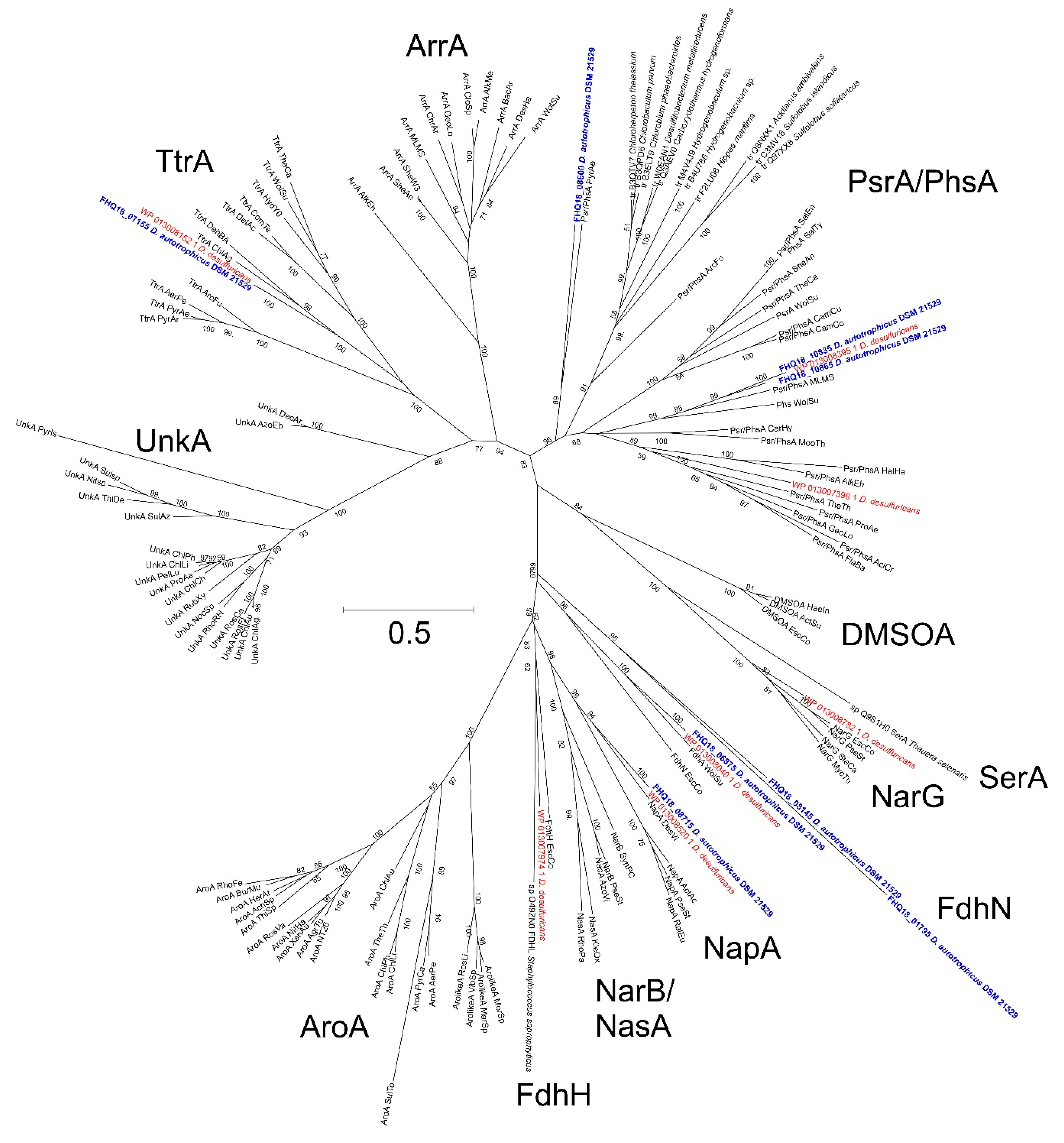 Genes 10 00849 g007