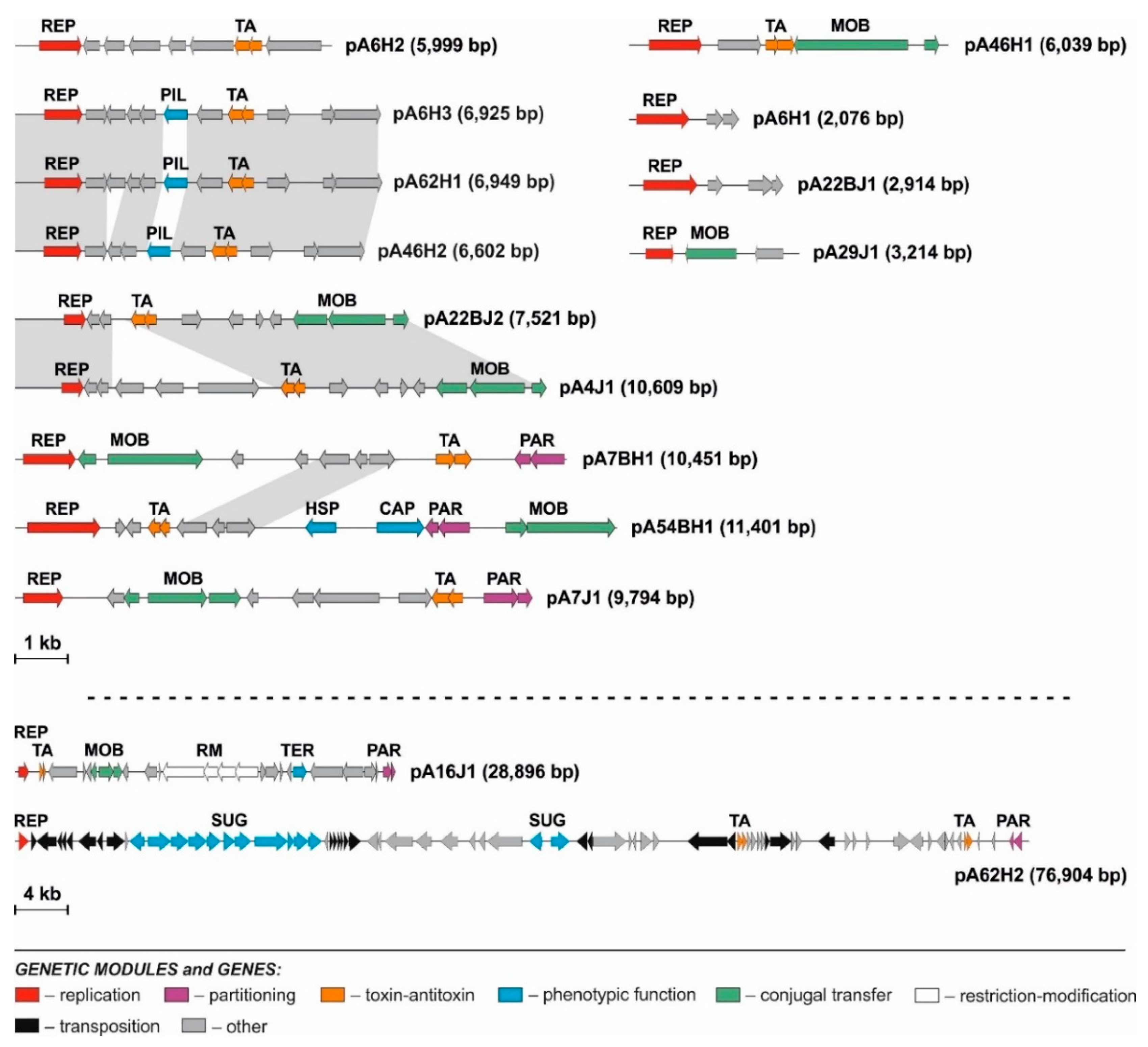 Genes 10 00850 g002 Genes 10 00850 g002