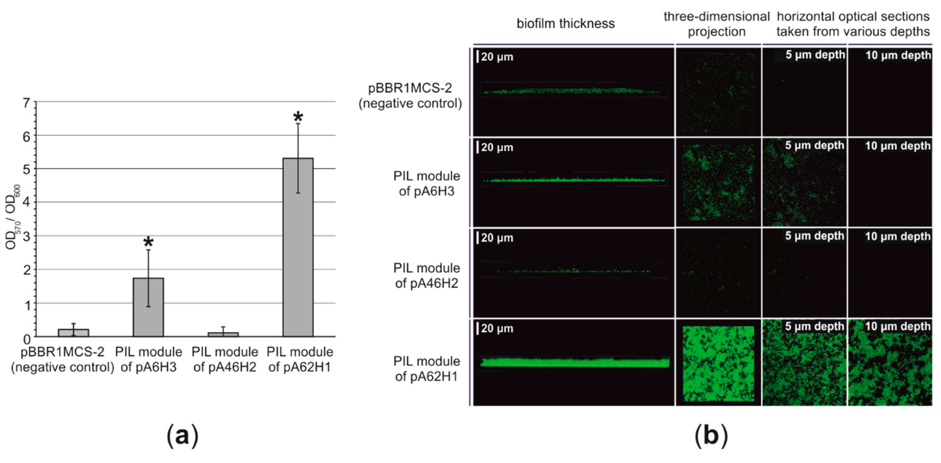 Genes 10 00850 g003 Genes 10 00850 g003