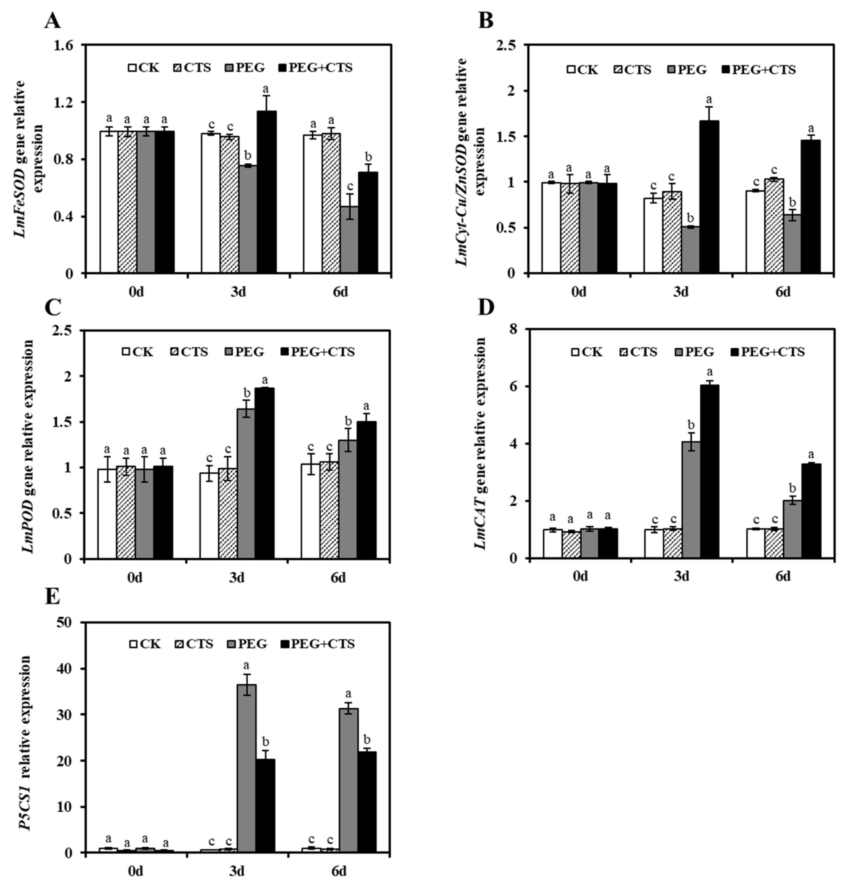 Genes 10 00853 g005 Genes 10 00853 g005