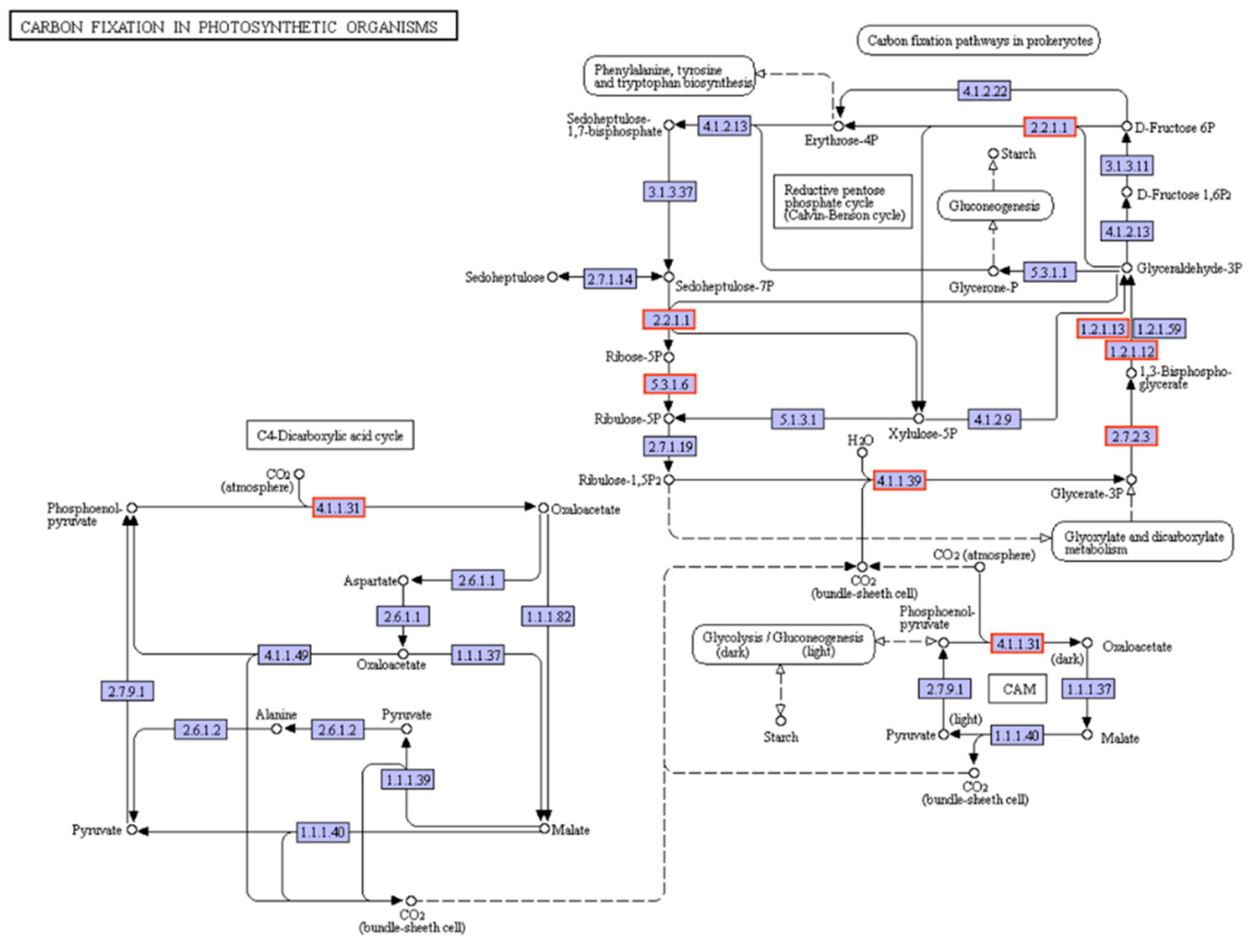 Genes 10 00853 g007 Genes 10 00853 g007