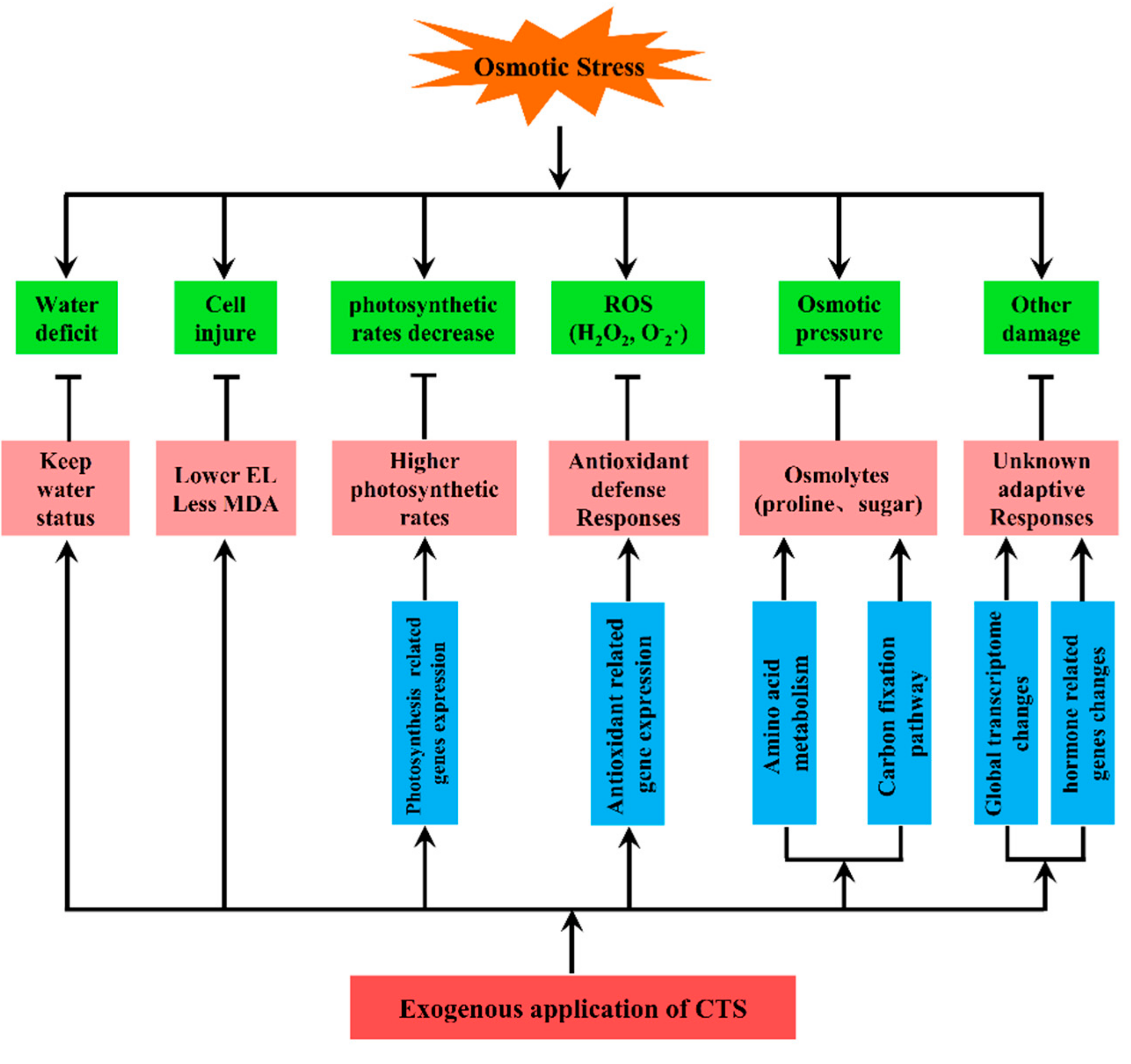Genes 10 00853 g009 Genes 10 00853 g009