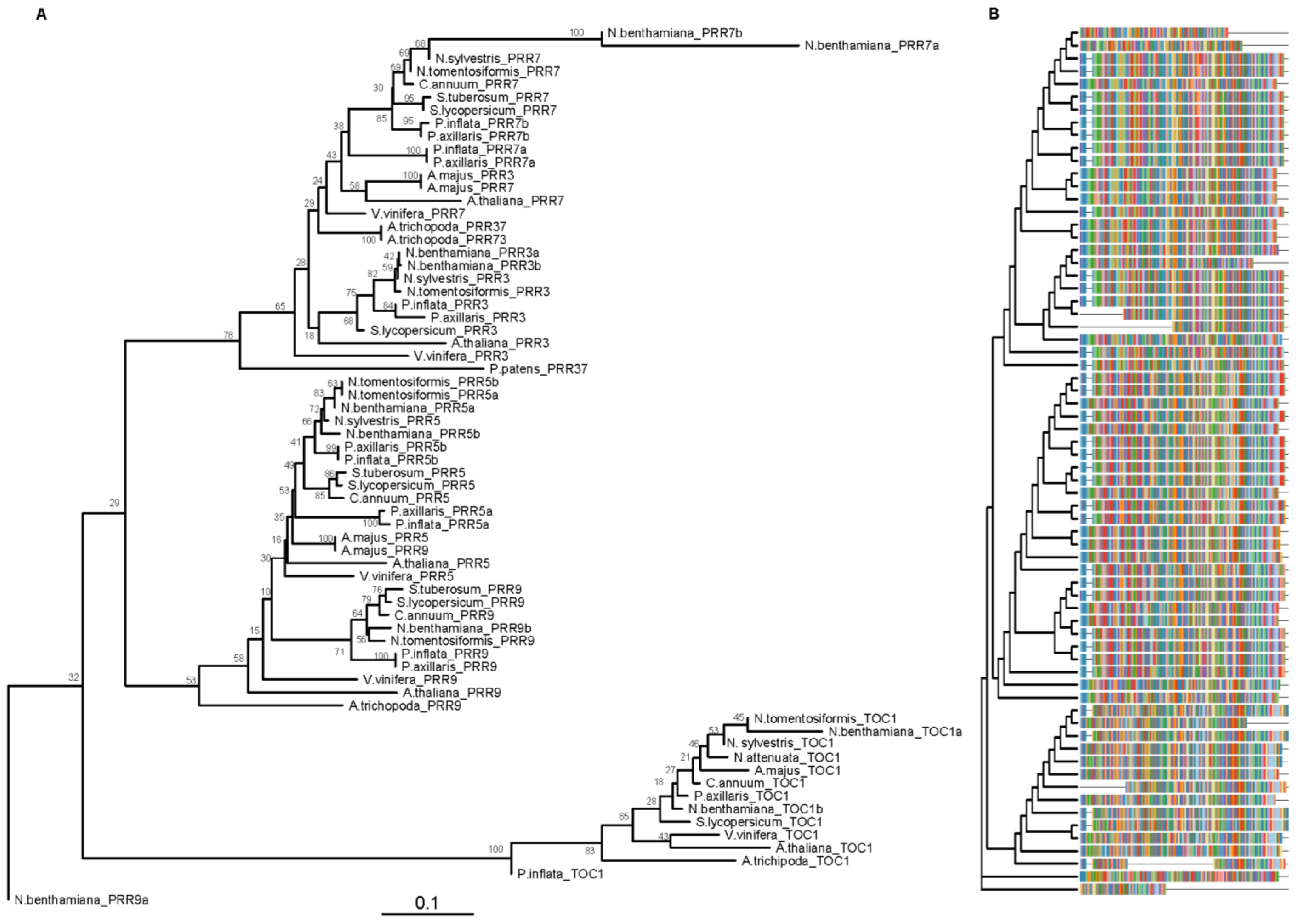Genes 10 00860 g001 Genes 10 00860 g001