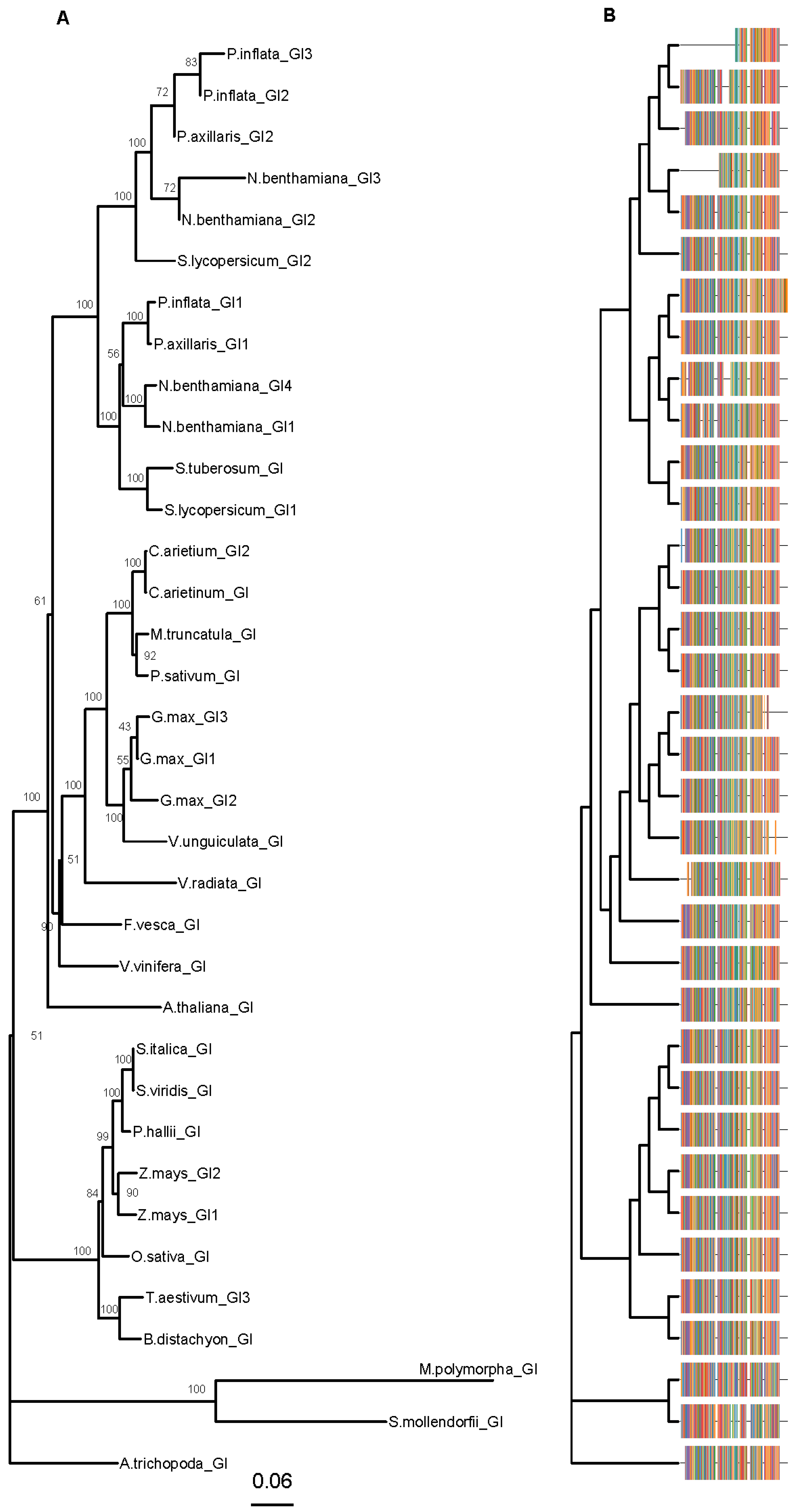 Genes 10 00860 g003 Genes 10 00860 g003