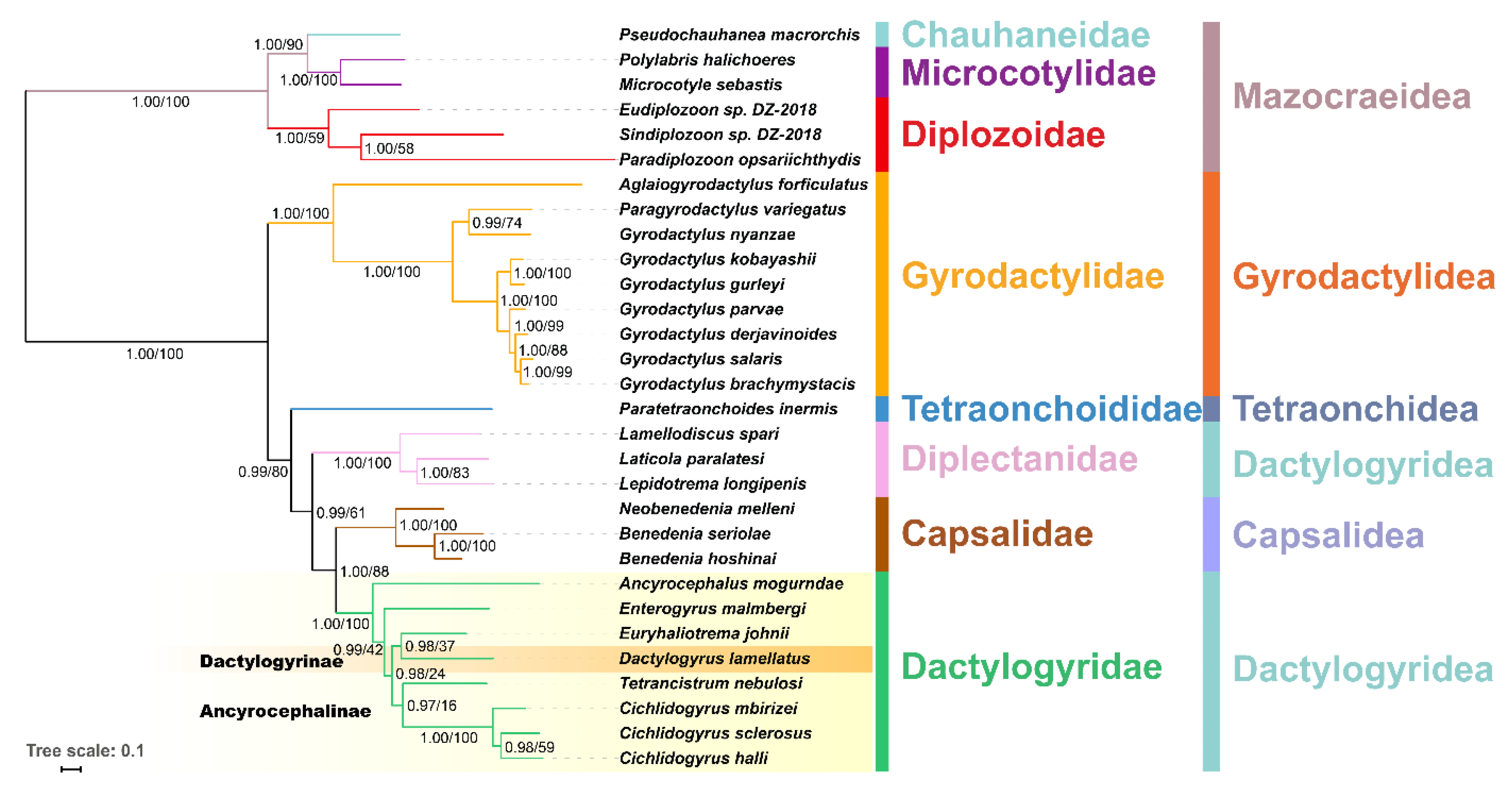 Genes 10 00863 g003 Genes 10 00863 g003