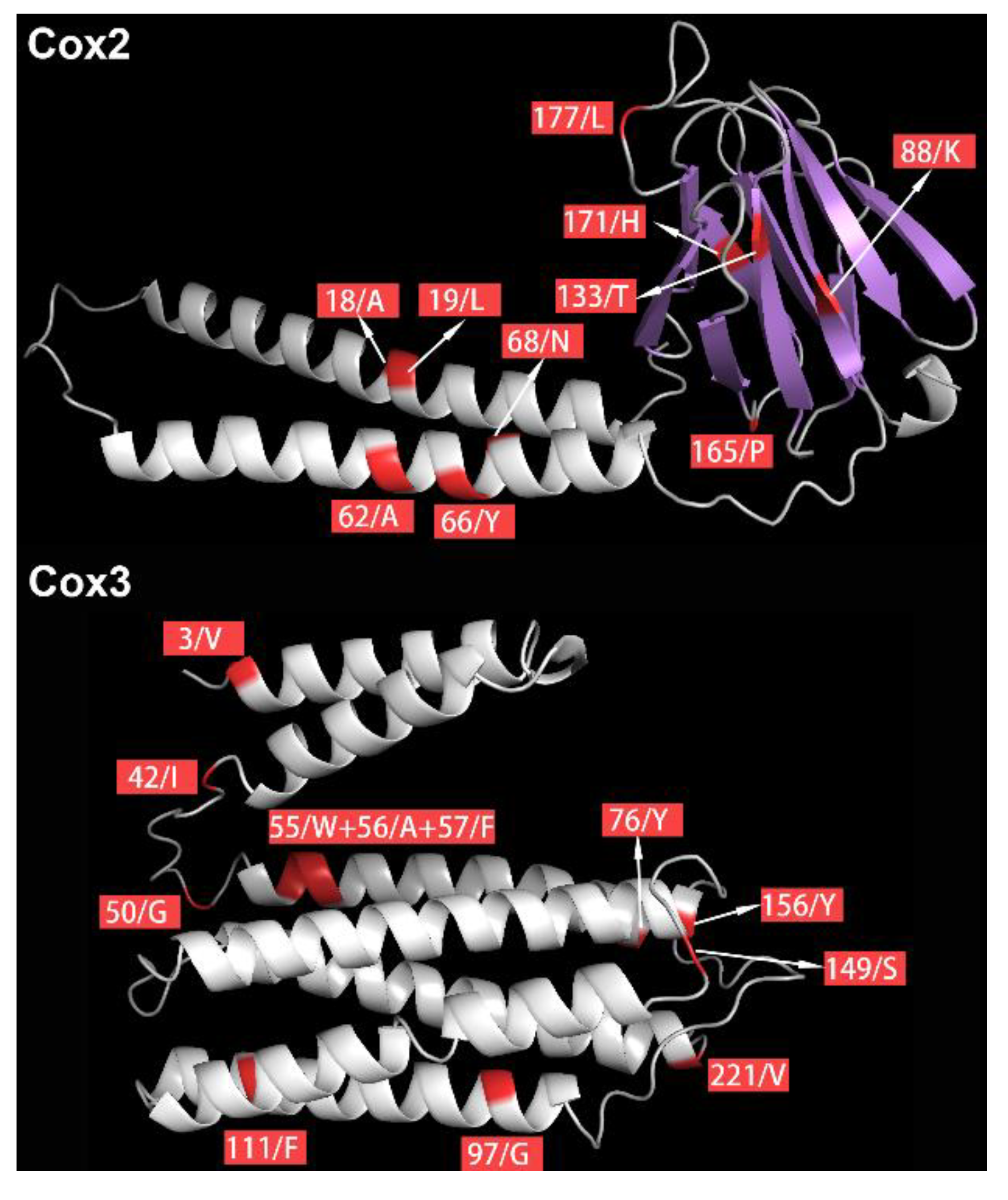 Genes 10 00863 g004 Genes 10 00863 g004