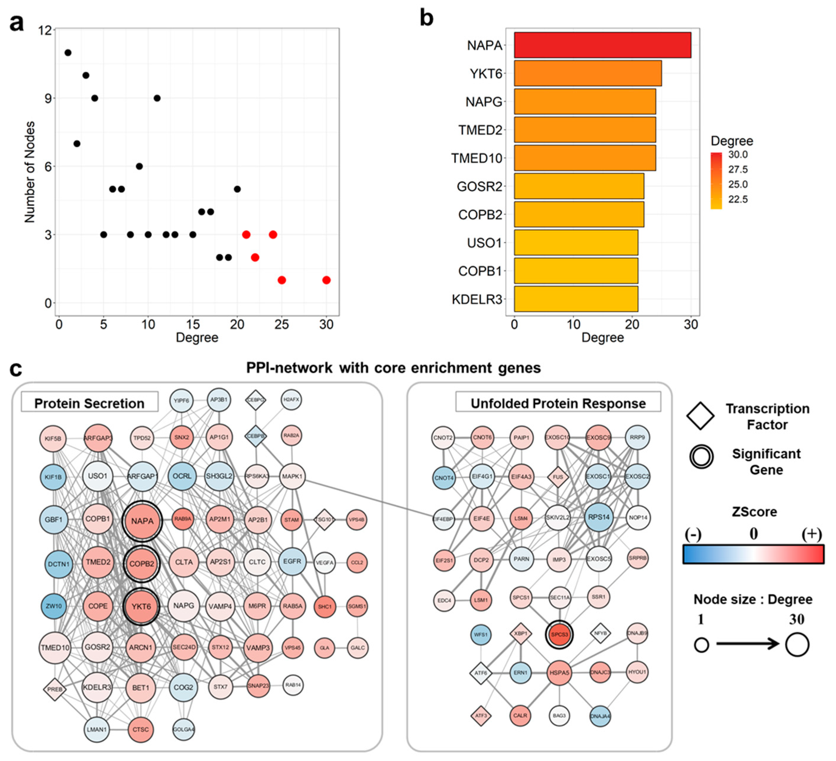 Genes 10 00864 g003 Genes 10 00864 g003