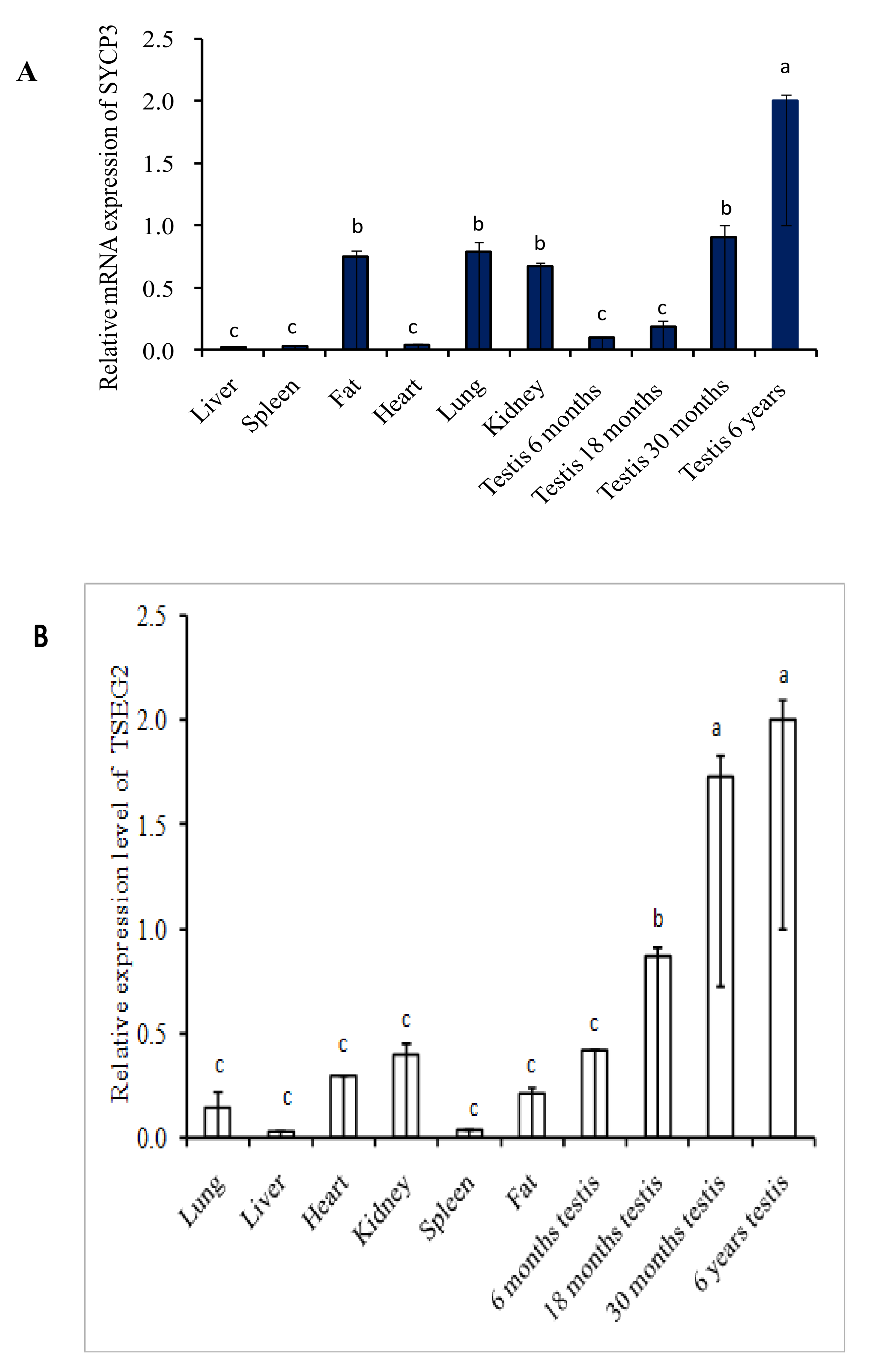 Genes 10 00867 g002 Genes 10 00867 g002