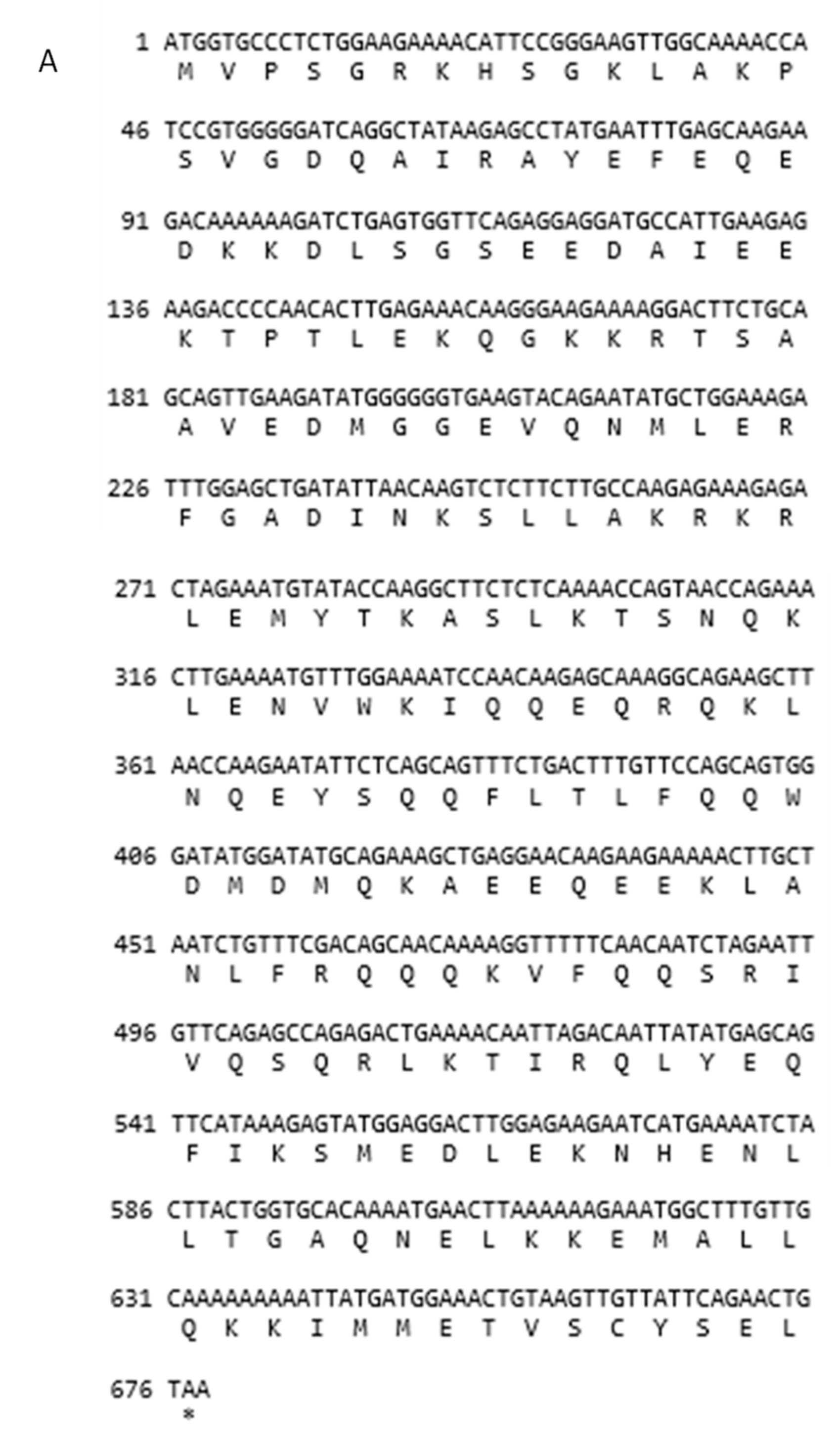 Genes 10 00867 g005a Genes 10 00867 g005a