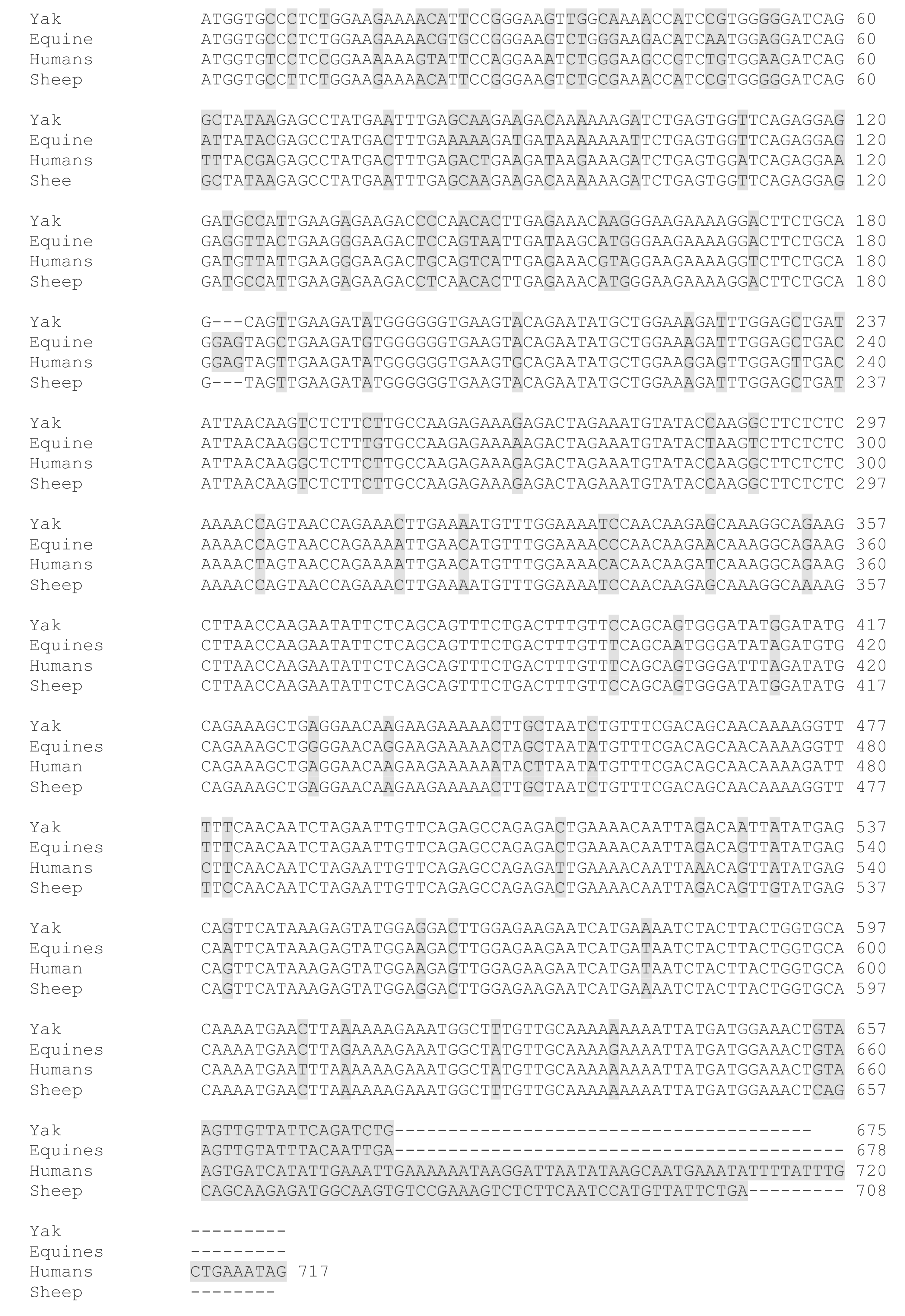 Genes 10 00867 g006 Genes 10 00867 g006