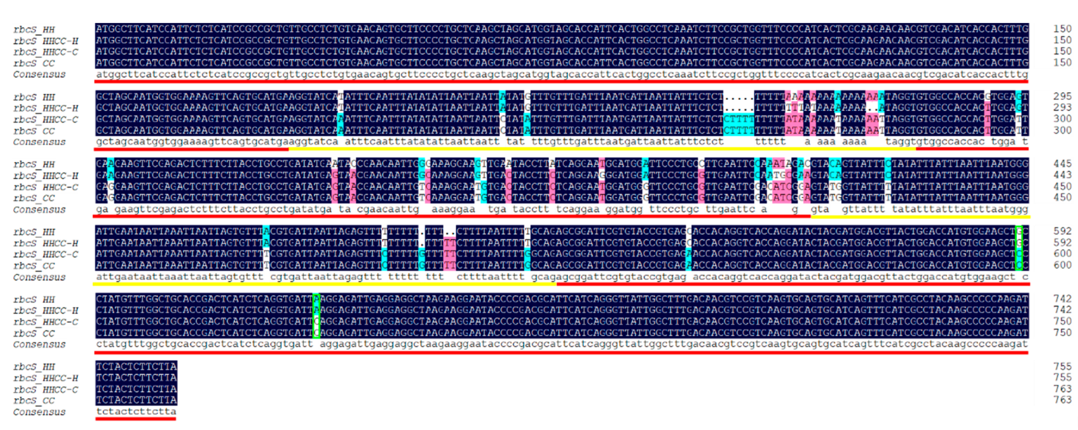Genes 10 00869 g002 Genes 10 00869 g002