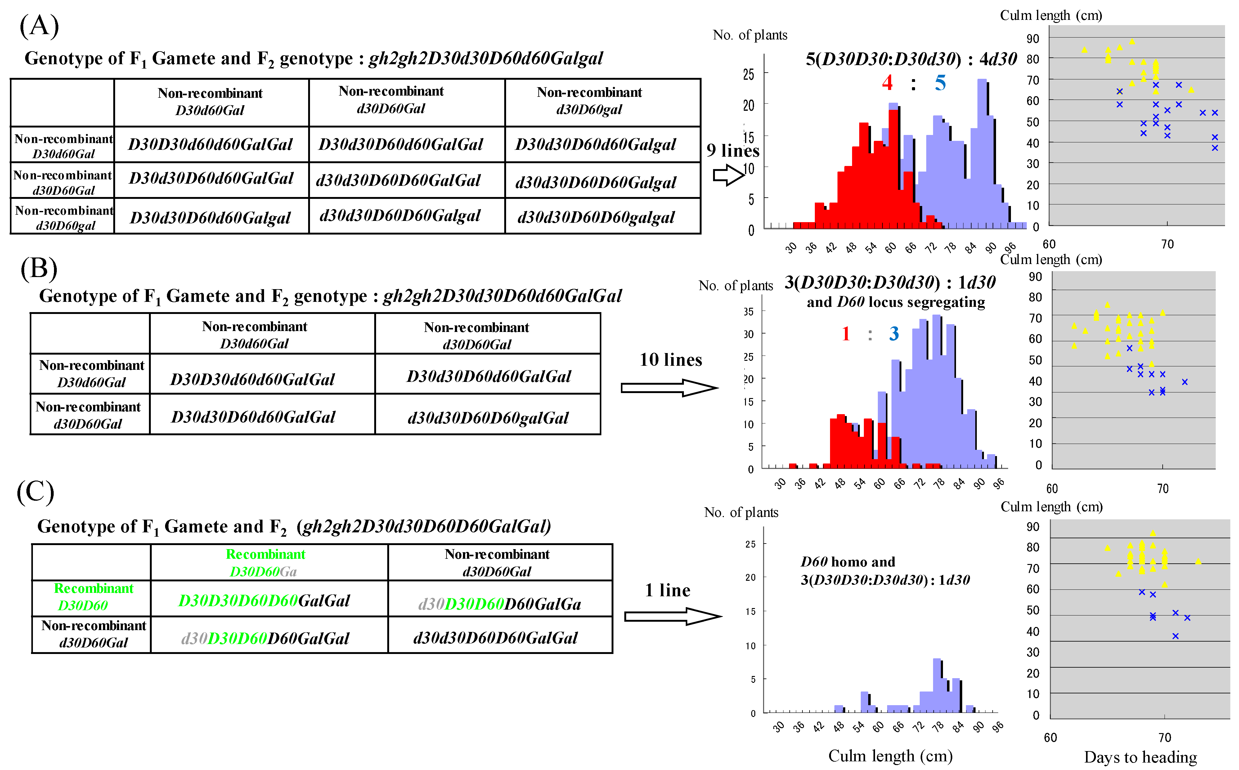Genes 10 00874 g005 Genes 10 00874 g005