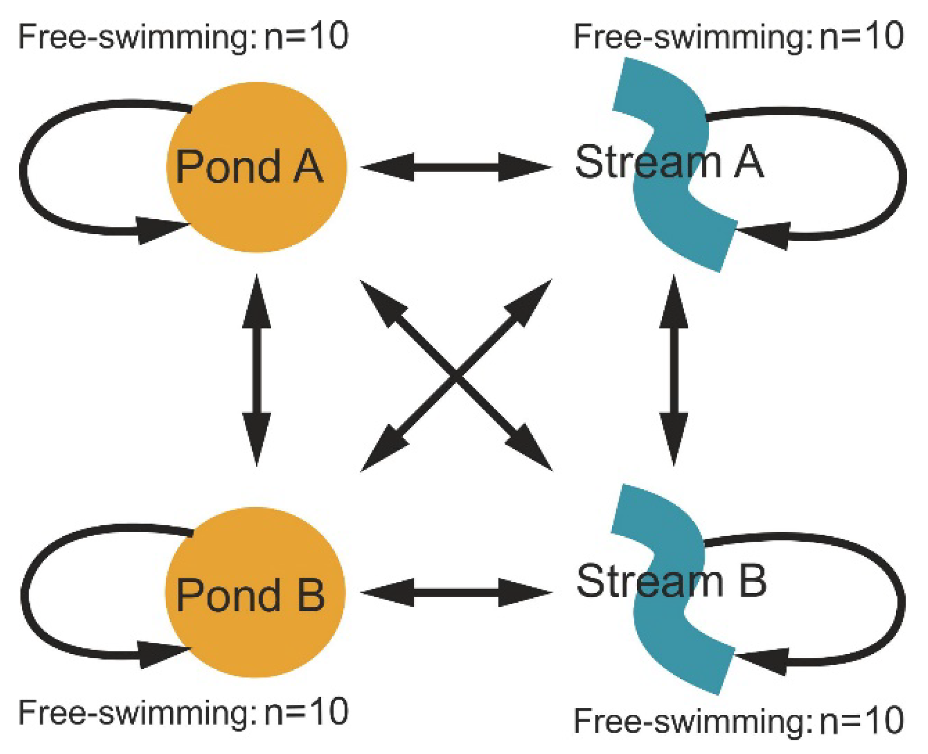 Genes 10 00875 g002 Genes 10 00875 g002