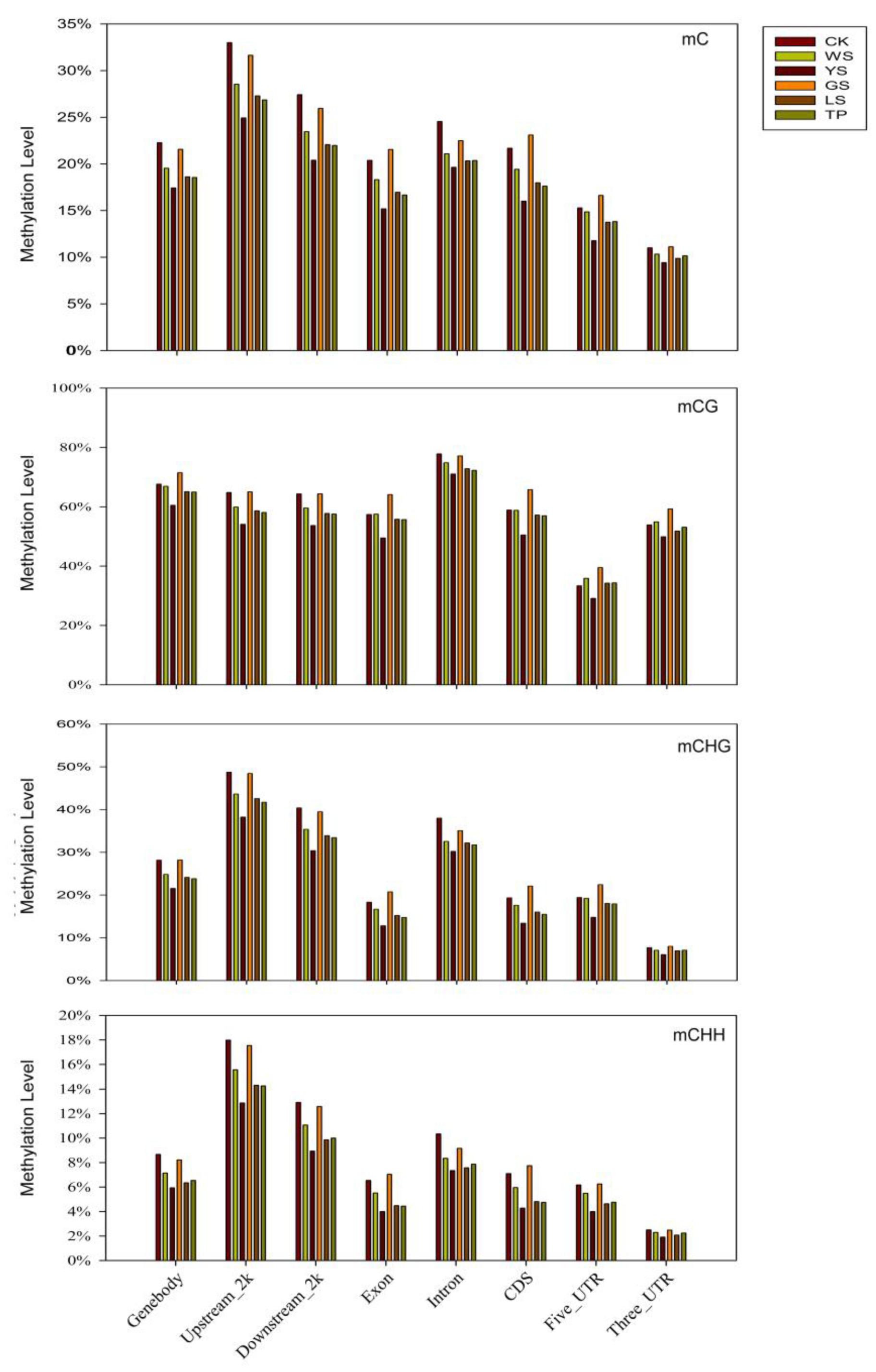 Genes 10 00877 g003 Genes 10 00877 g003