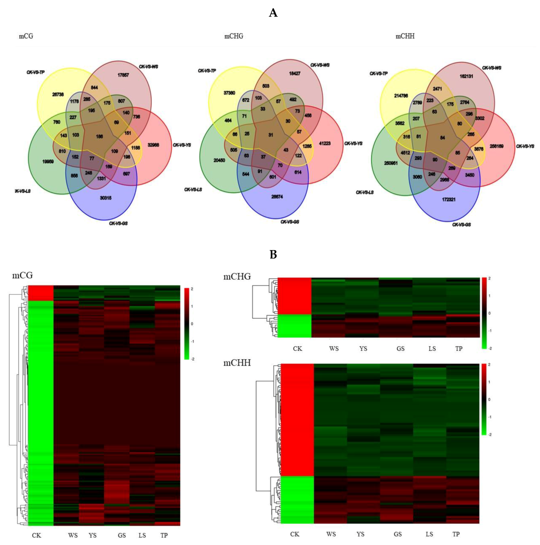 Genes 10 00877 g007 Genes 10 00877 g007