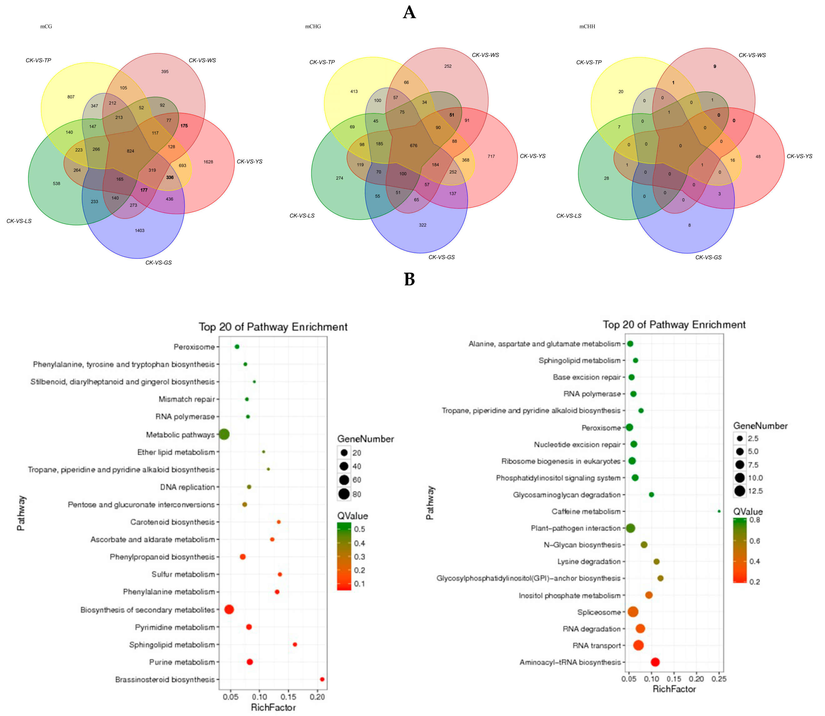 Genes 10 00877 g008 Genes 10 00877 g008
