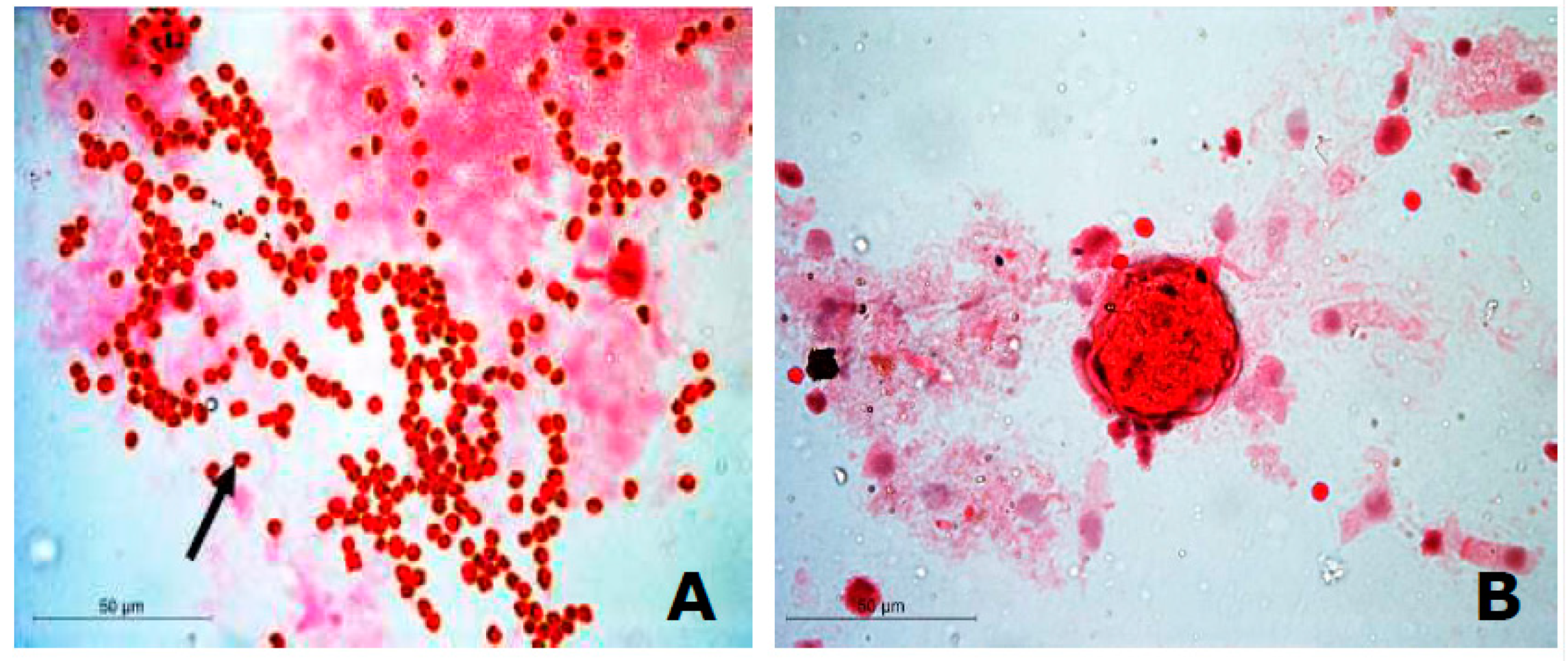 Genes 10 00880 g0a1 Genes 10 00880 g0a1