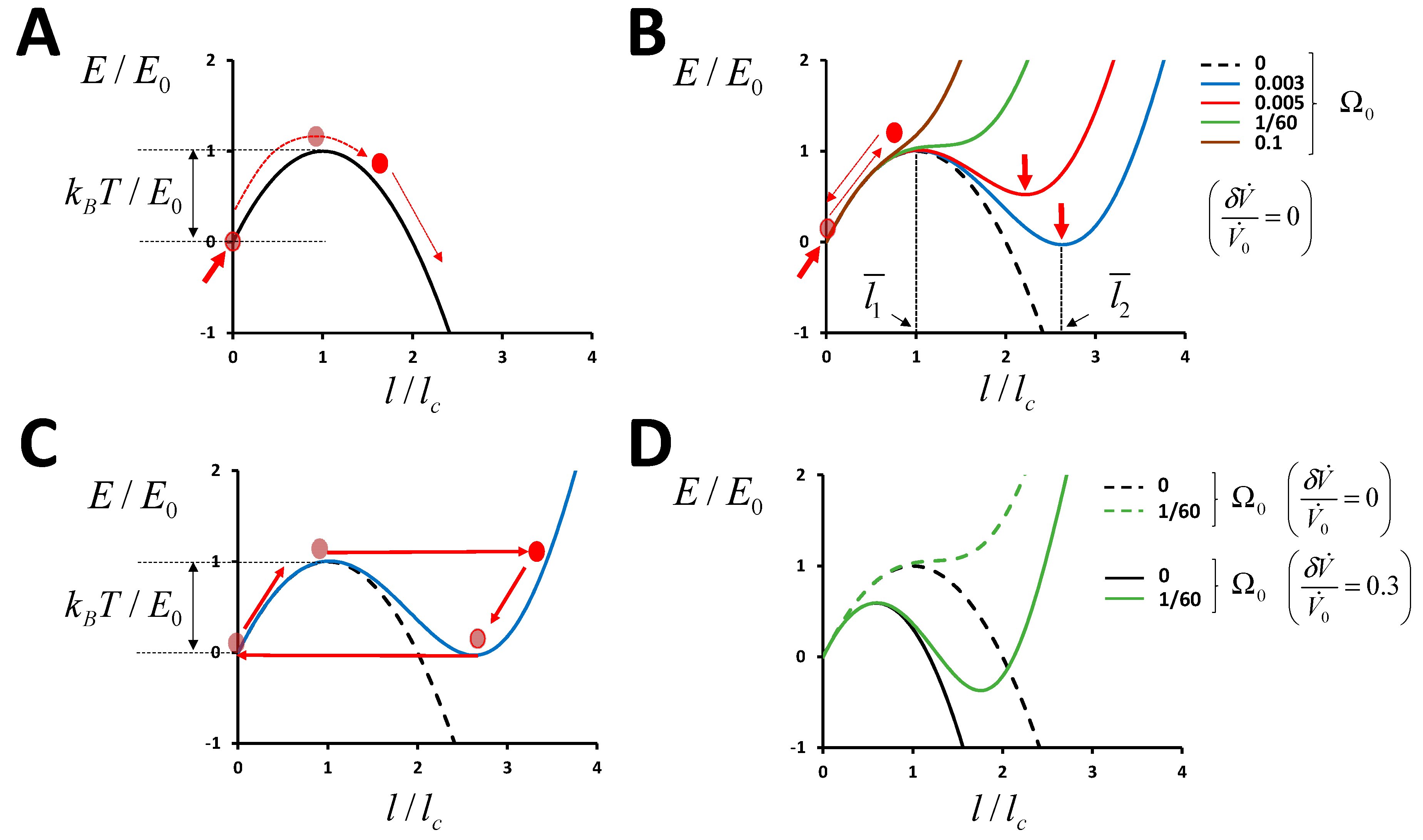 Genes 10 00880 g0a3 Genes 10 00880 g0a3