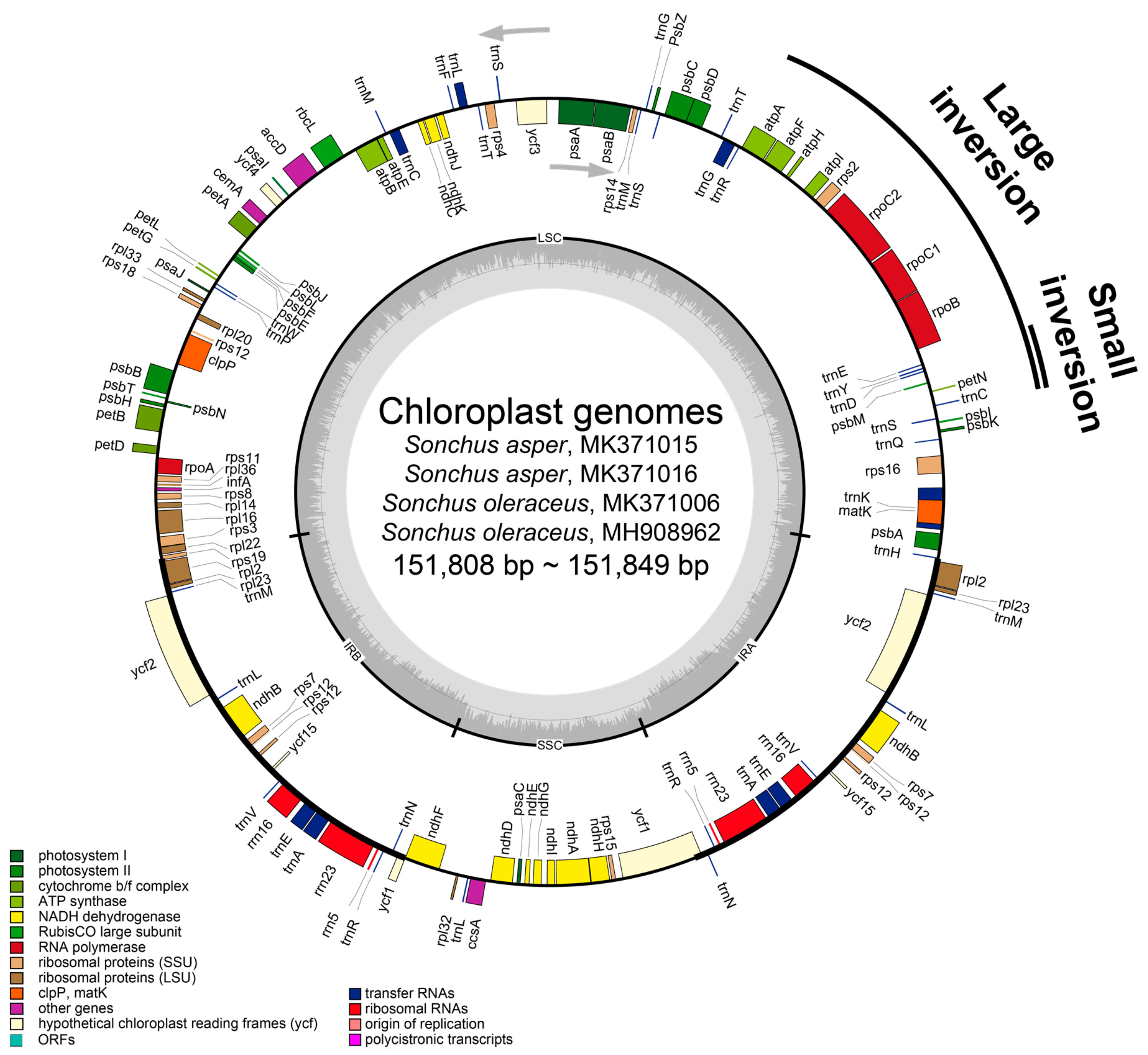 Genes 10 00881 g002 Genes 10 00881 g002