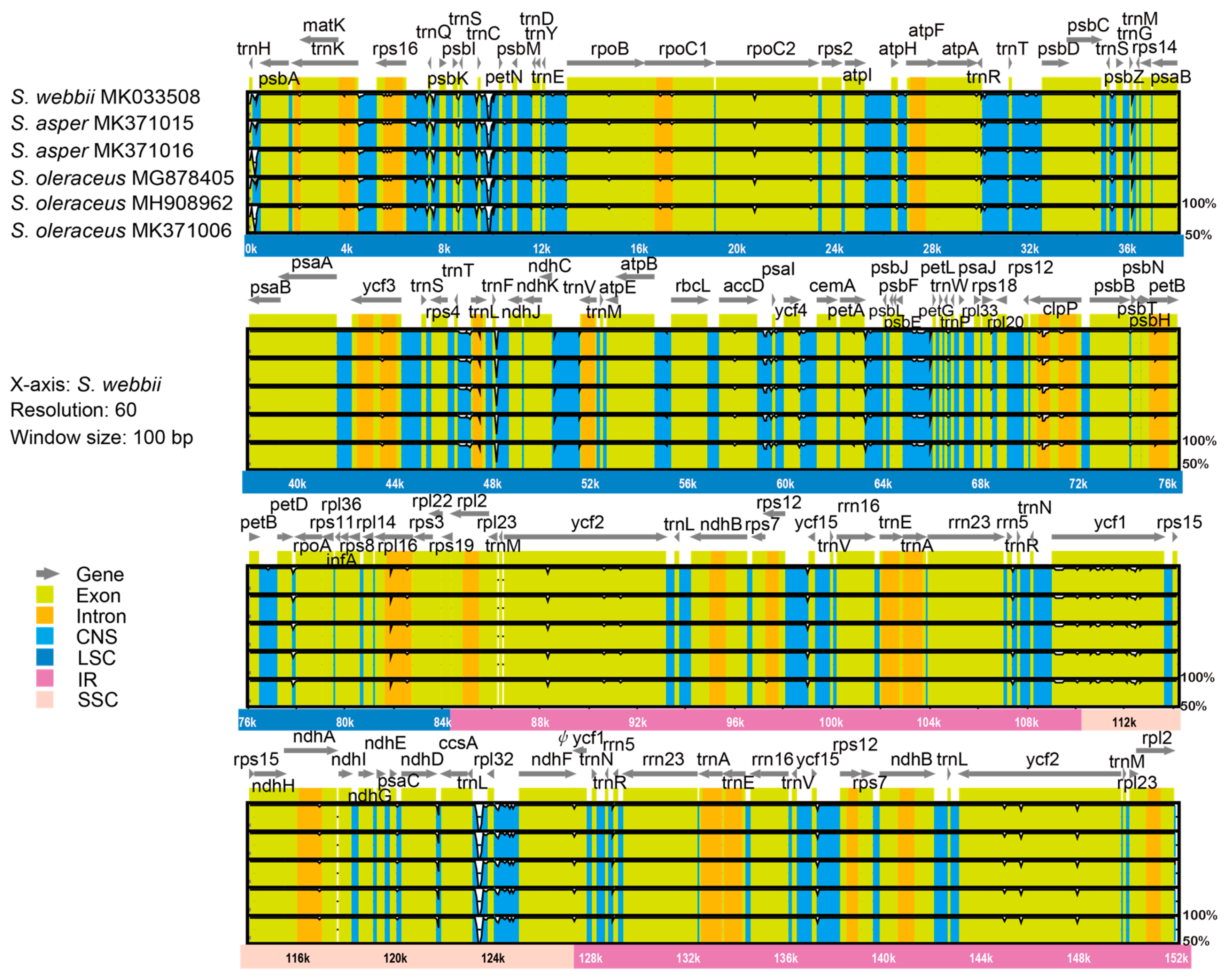 Genes 10 00881 g007 Genes 10 00881 g007