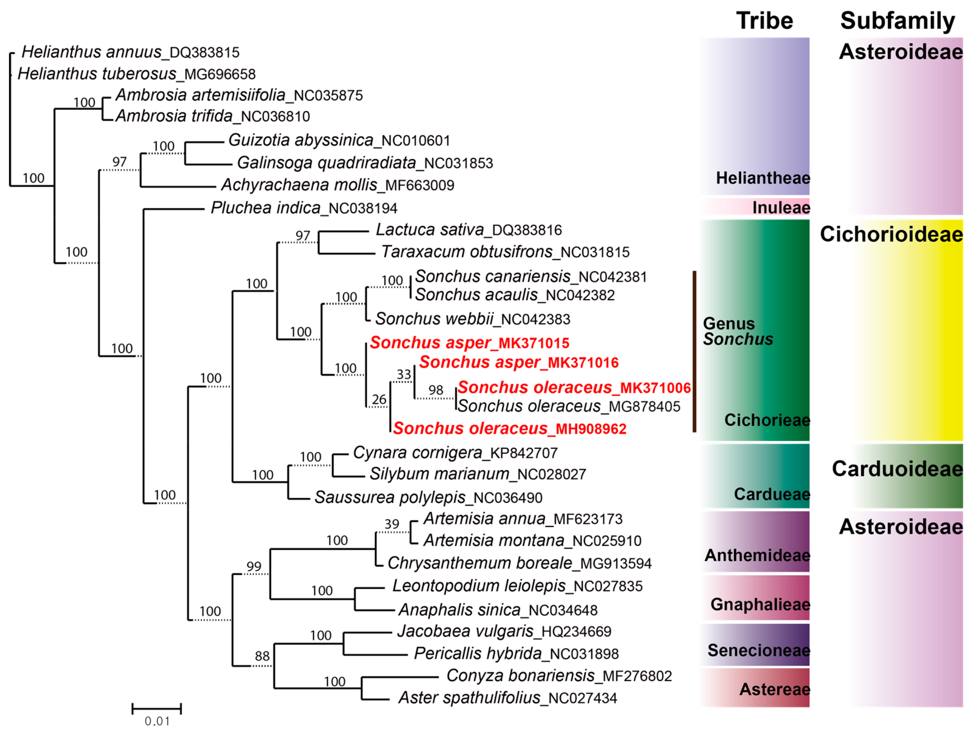 Genes 10 00881 g008 Genes 10 00881 g008
