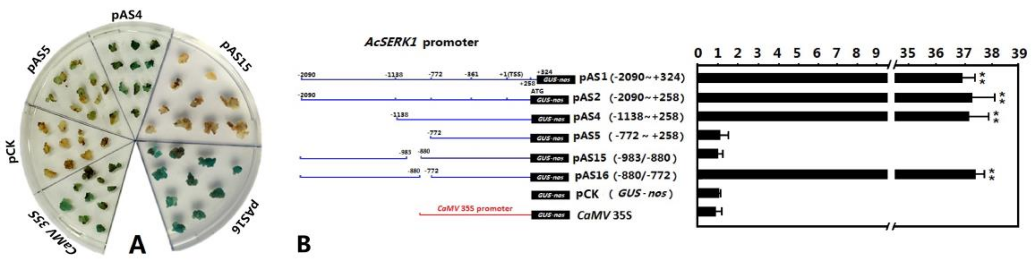 Genes 10 00883 g002 Genes 10 00883 g002