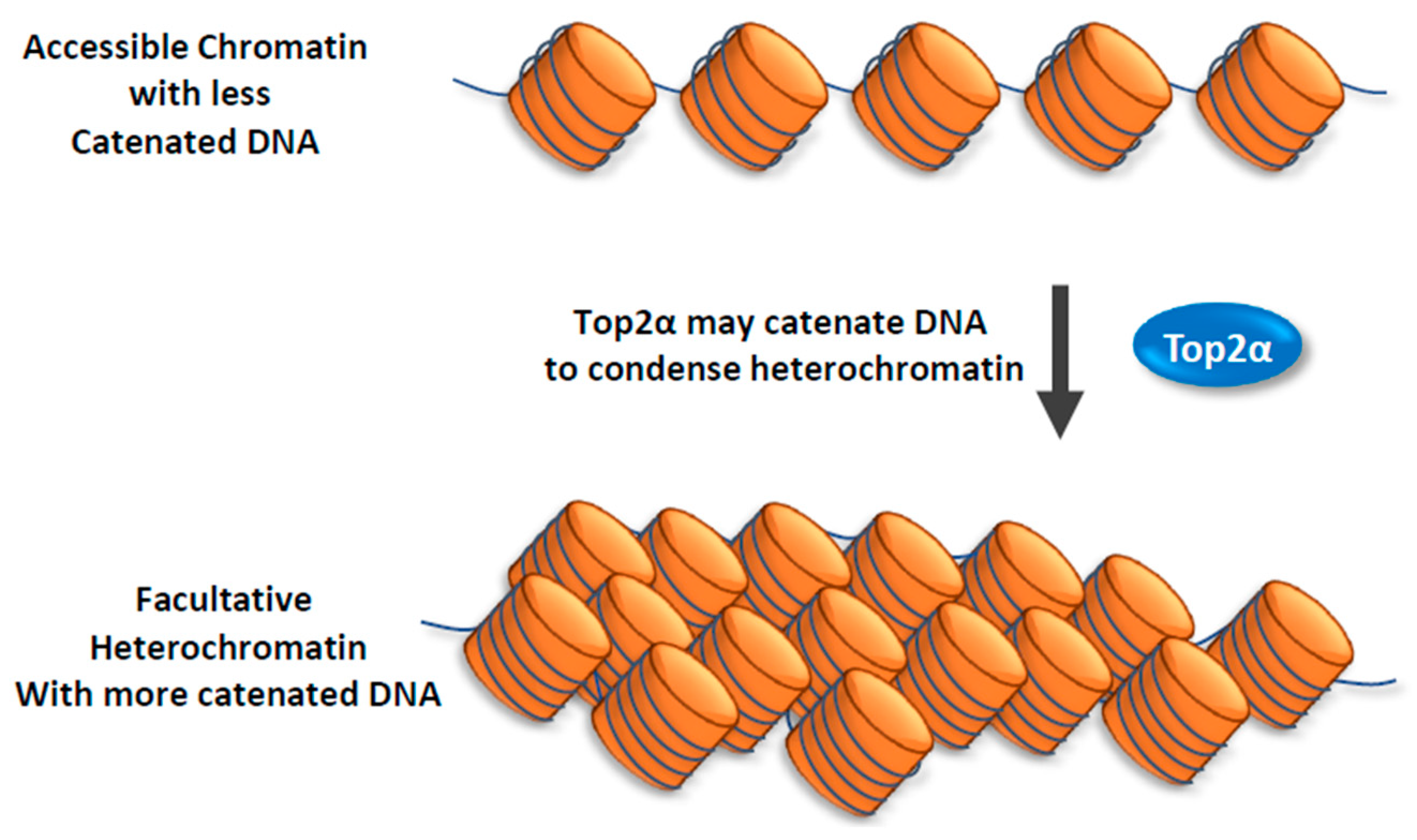 Genes 10 00884 g002 Genes 10 00884 g002