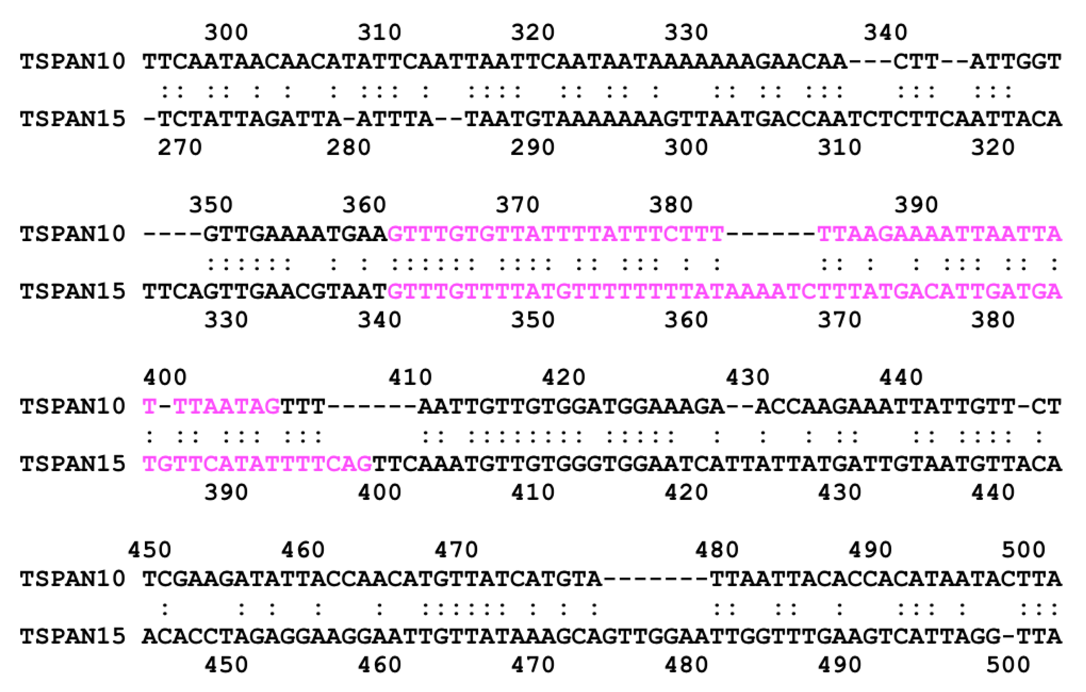 Genes 10 00885 g005 Genes 10 00885 g005
