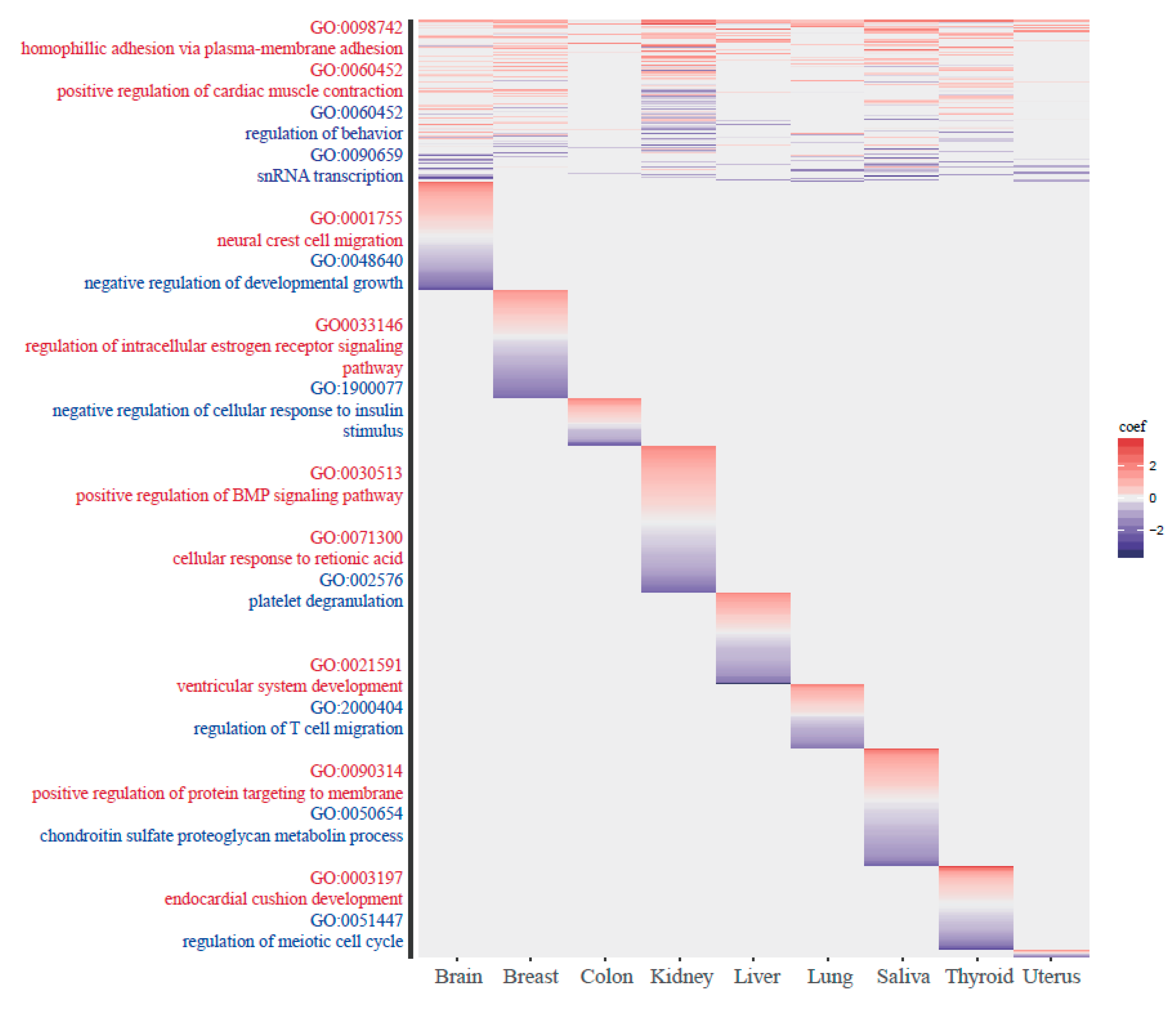 Genes 10 00888 g006 Genes 10 00888 g006