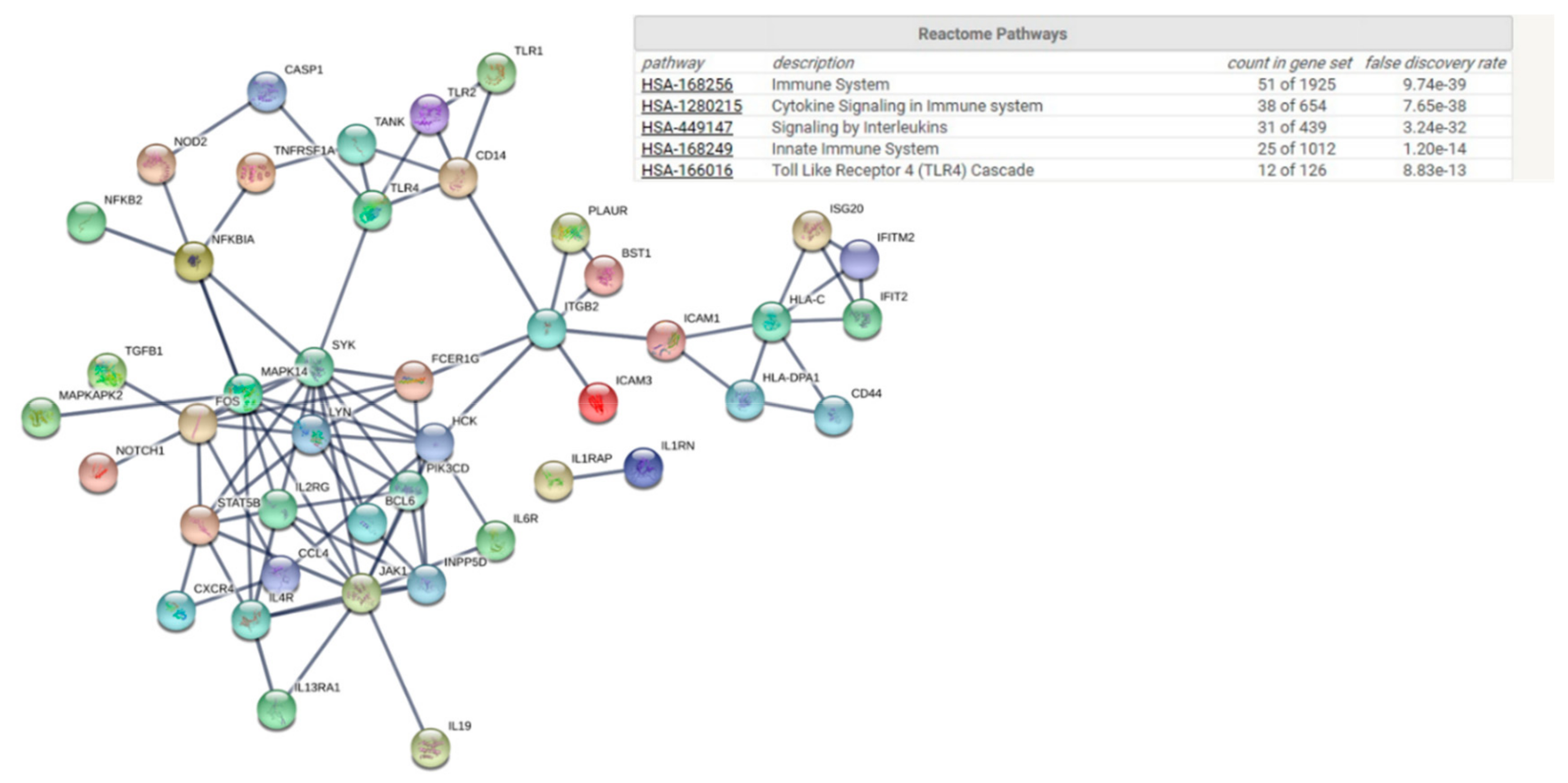 Genes 10 00889 g002 Genes 10 00889 g002
