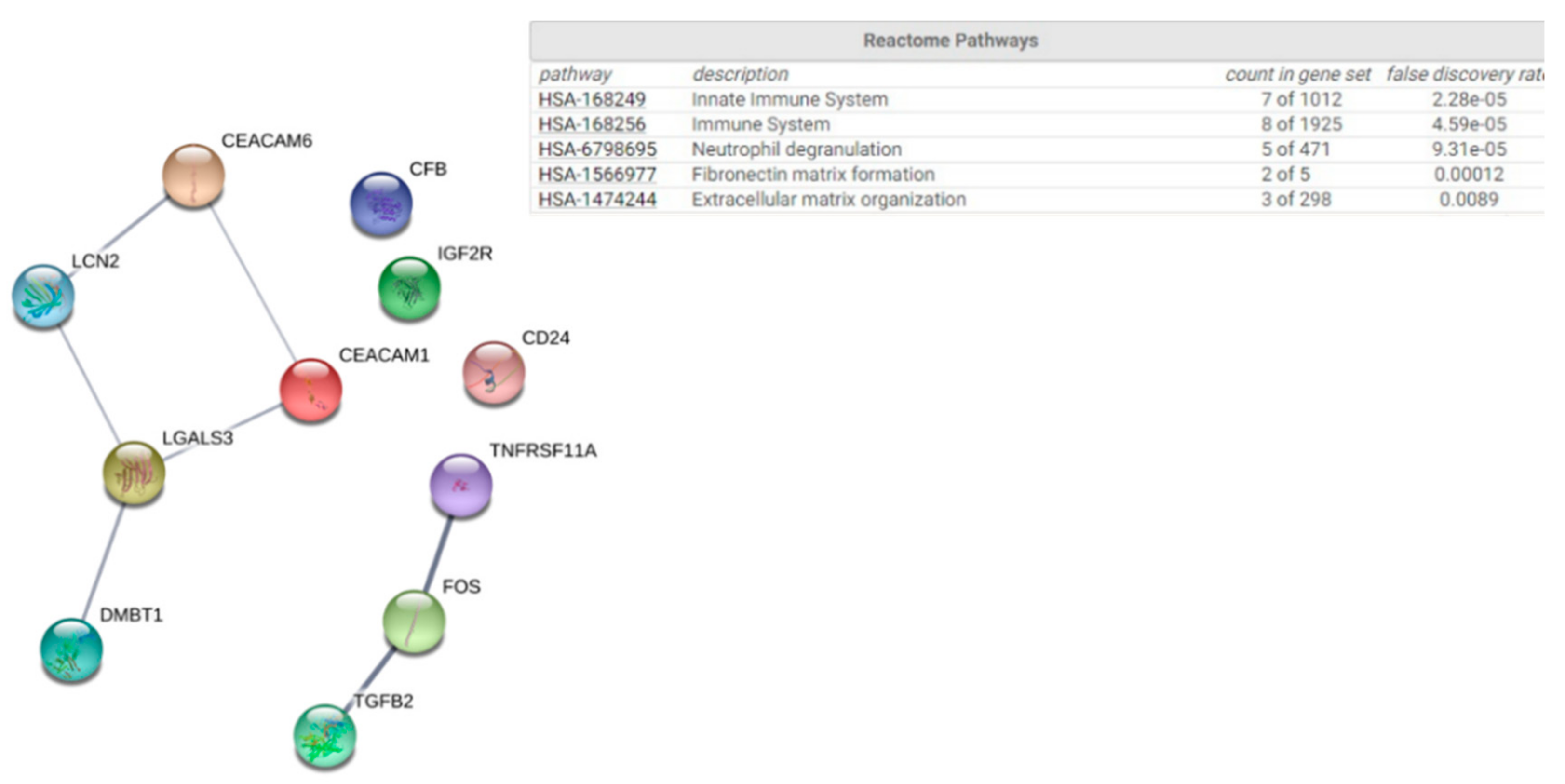 Genes 10 00889 g003 Genes 10 00889 g003