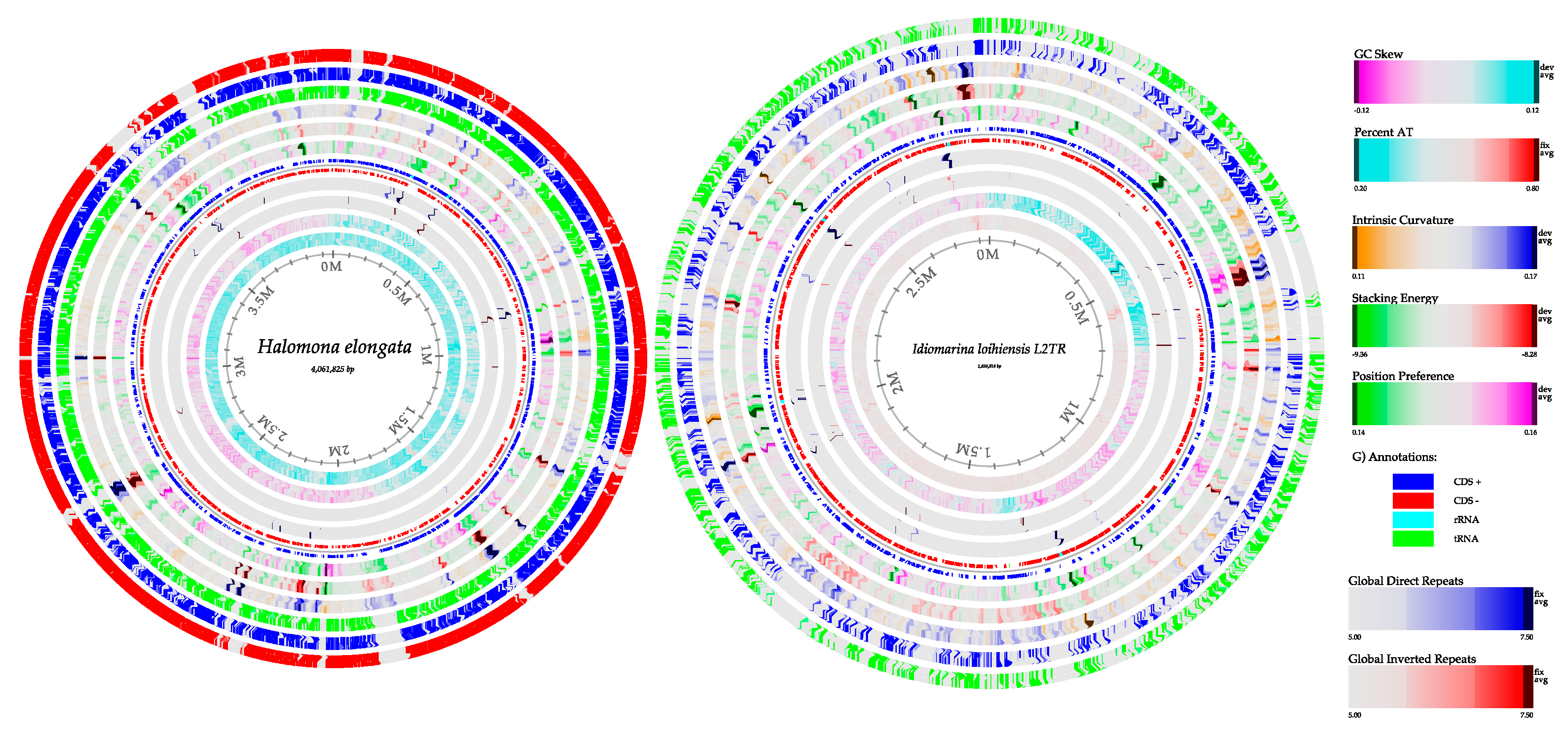 Genes 10 00891 g006