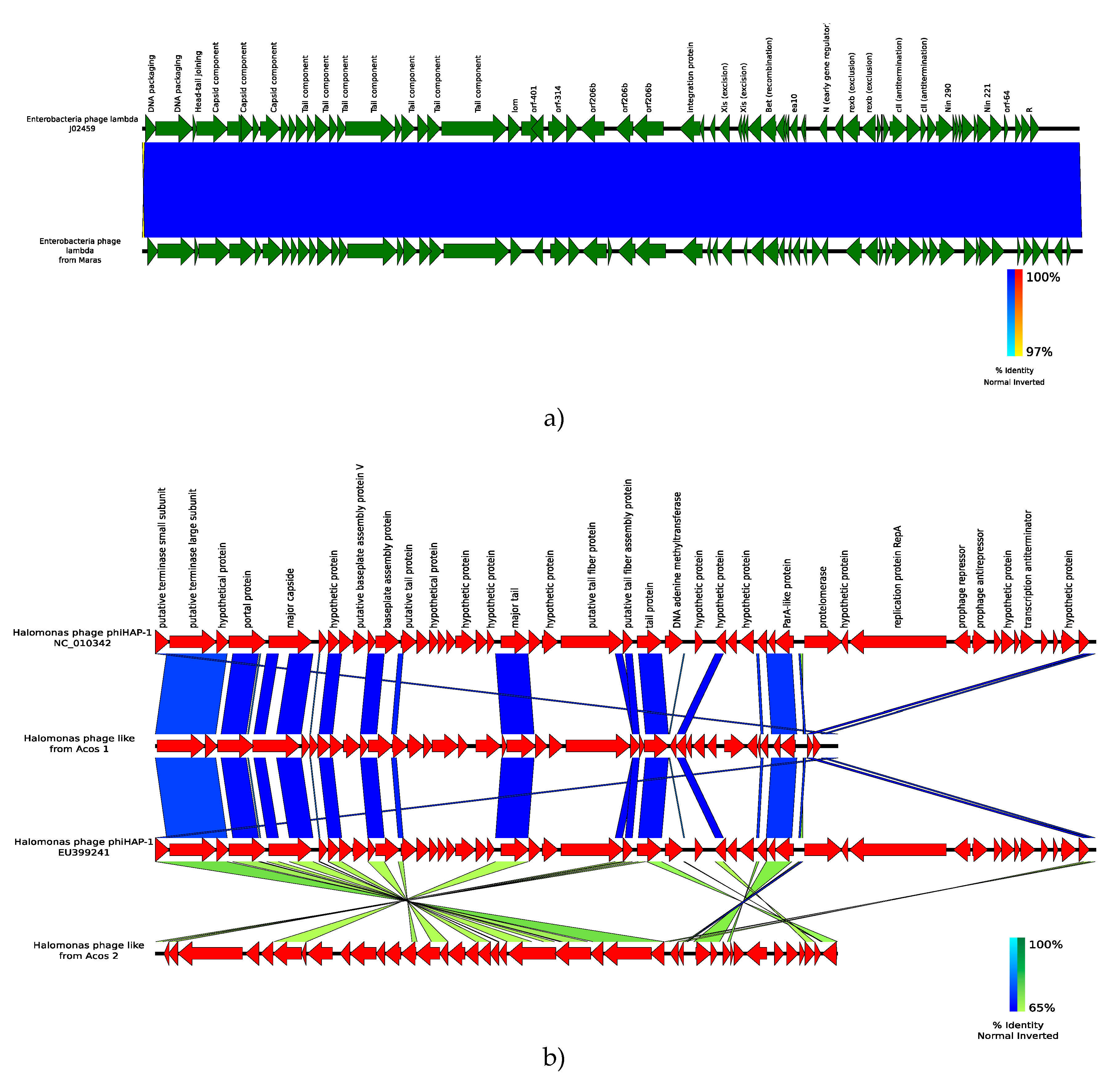 Genes 10 00891 g007