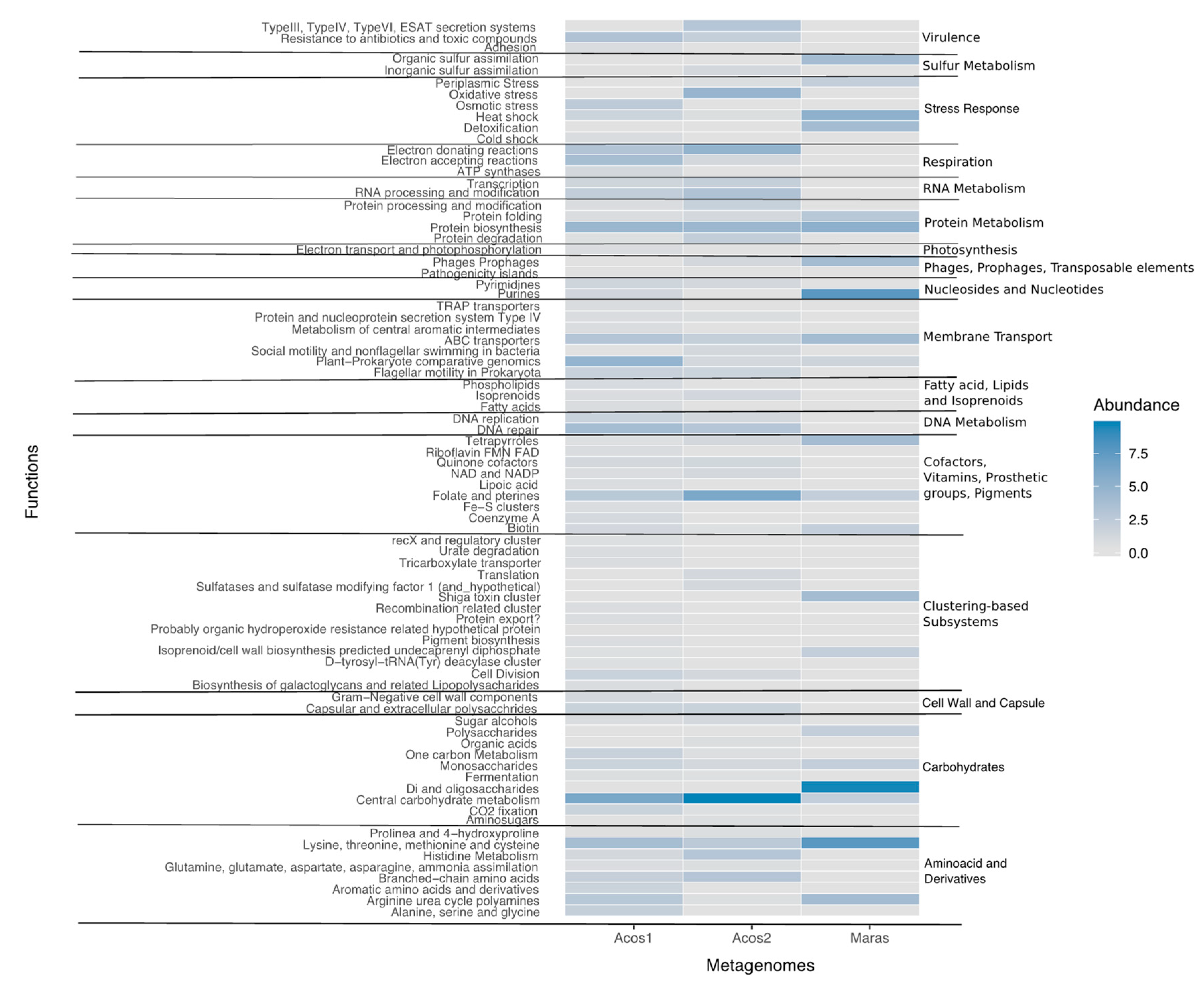 Genes 10 00891 g010