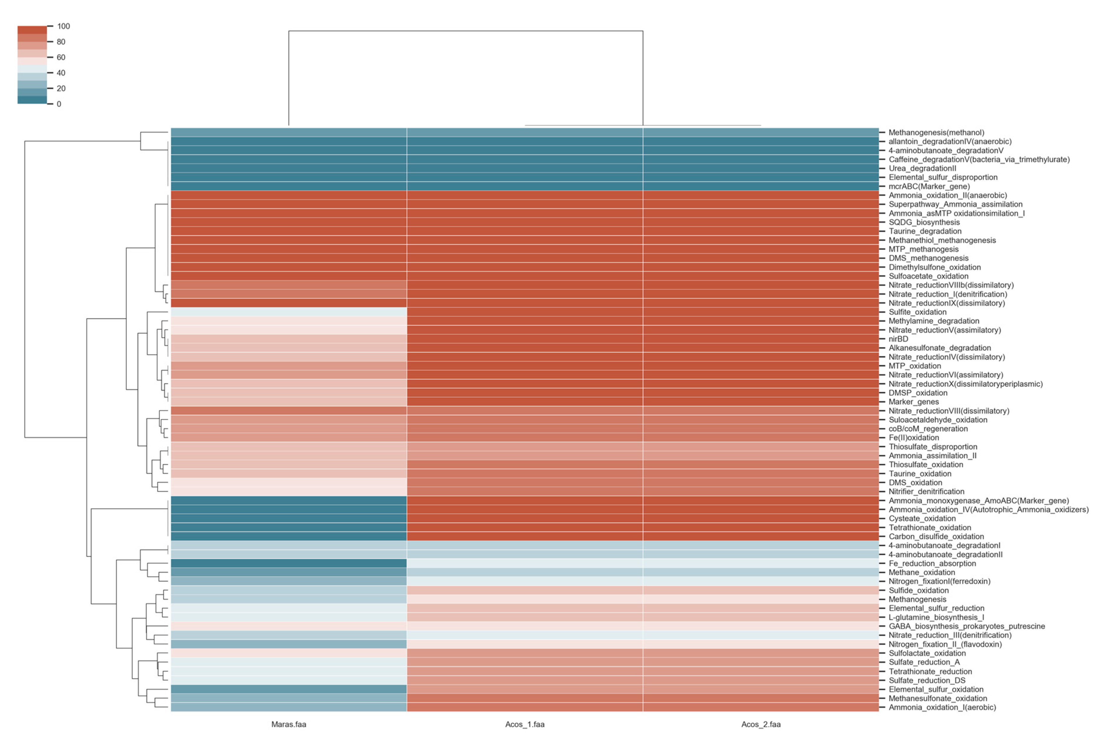 Genes 10 00891 g011