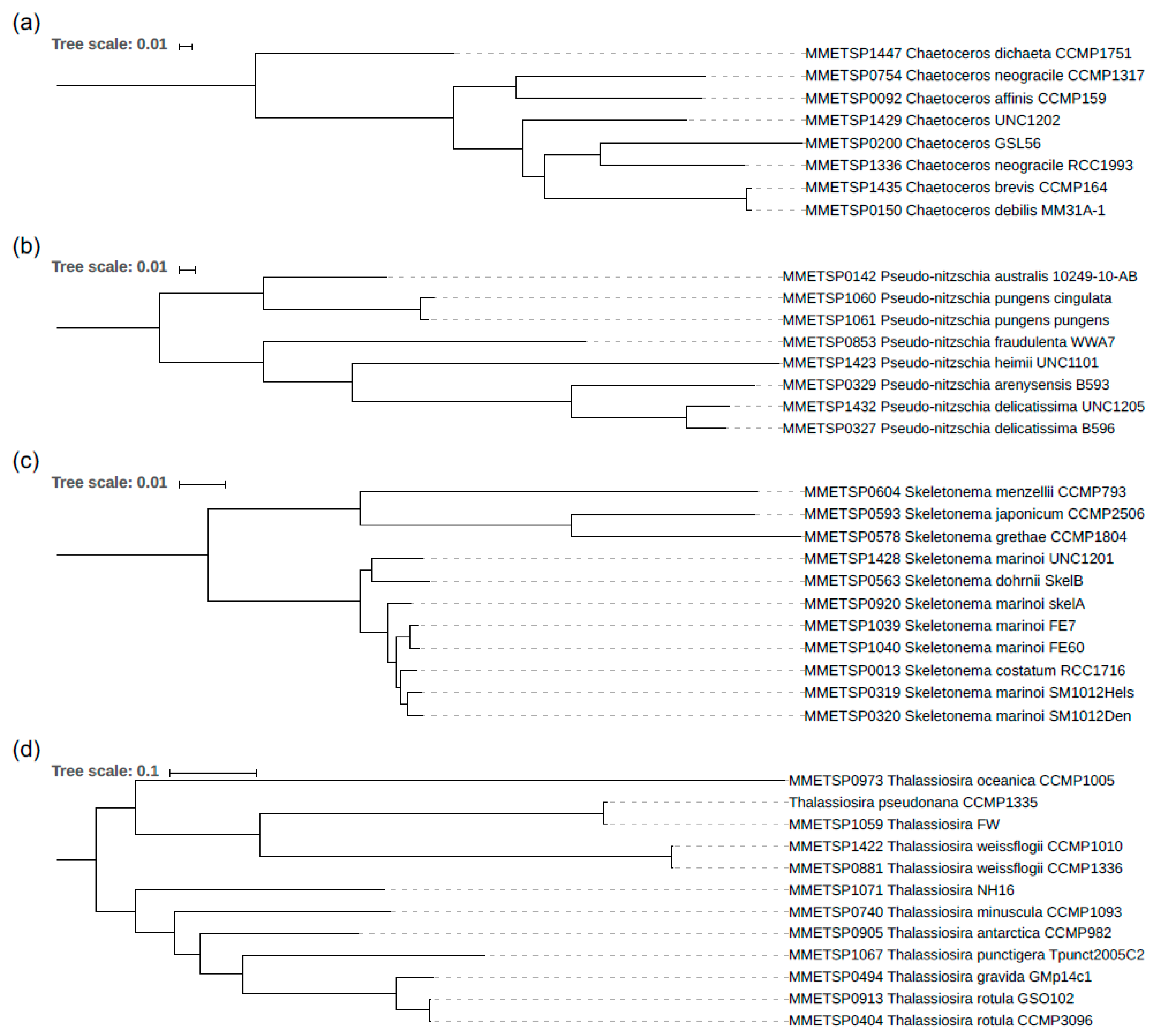 Genes 10 00894 g002 Genes 10 00894 g002