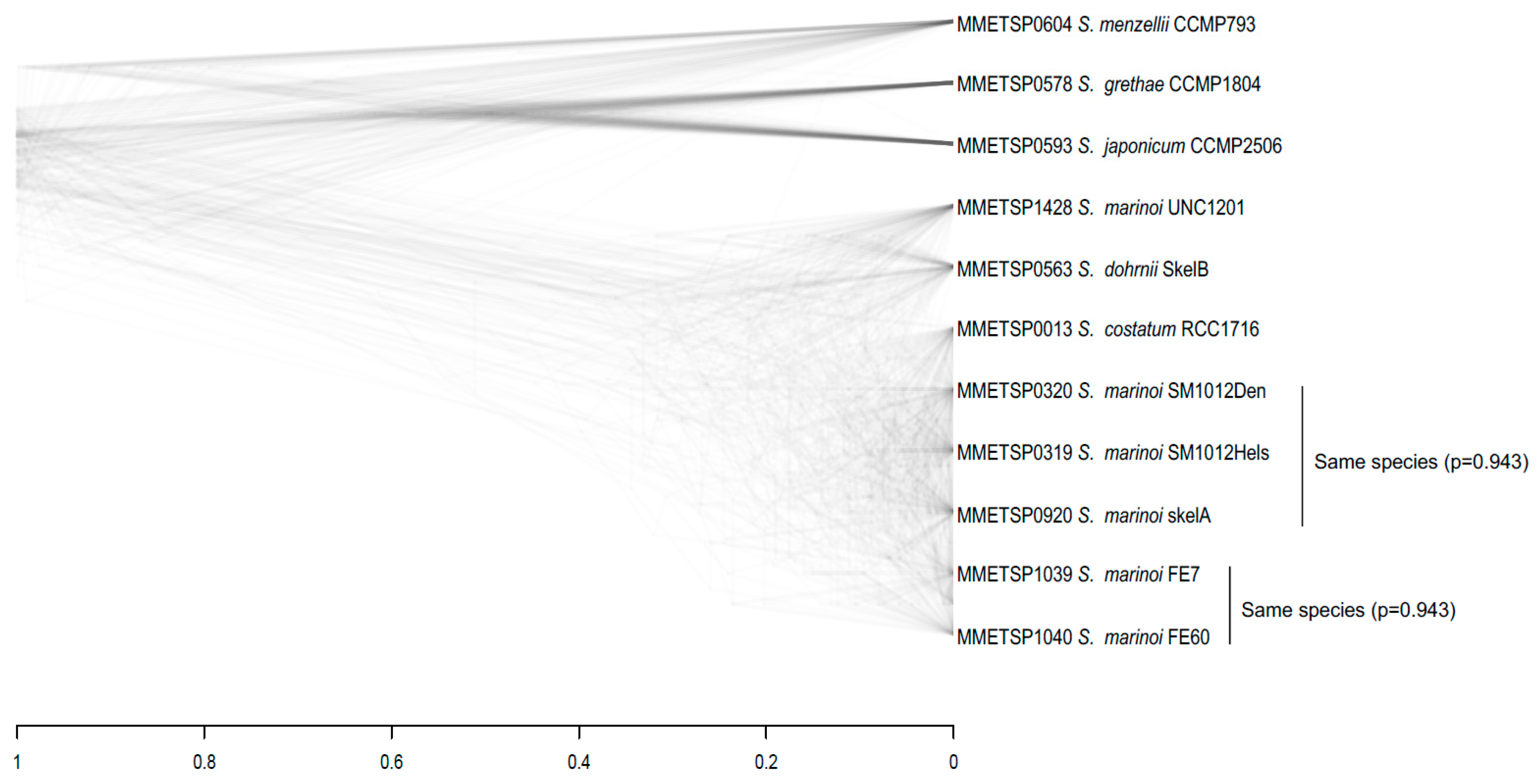 Genes 10 00894 g003 Genes 10 00894 g003
