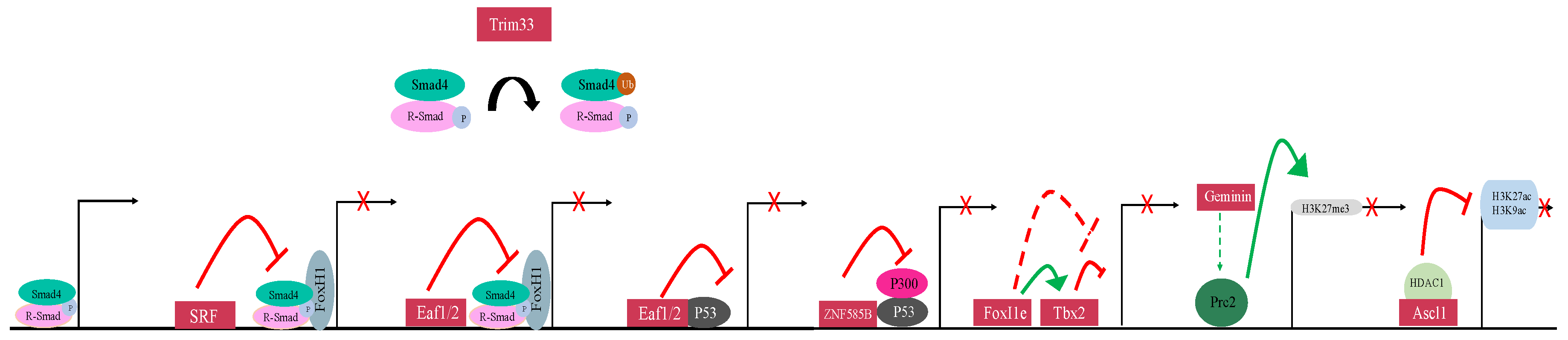 Genes 10 00895 g004