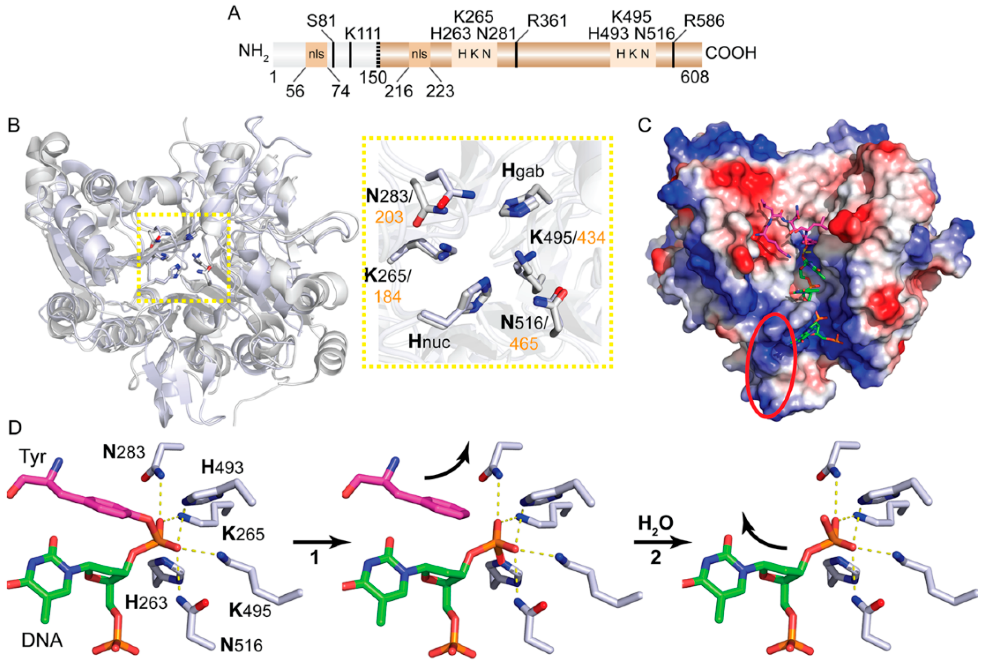 Genes 10 00897 g001 Genes 10 00897 g001