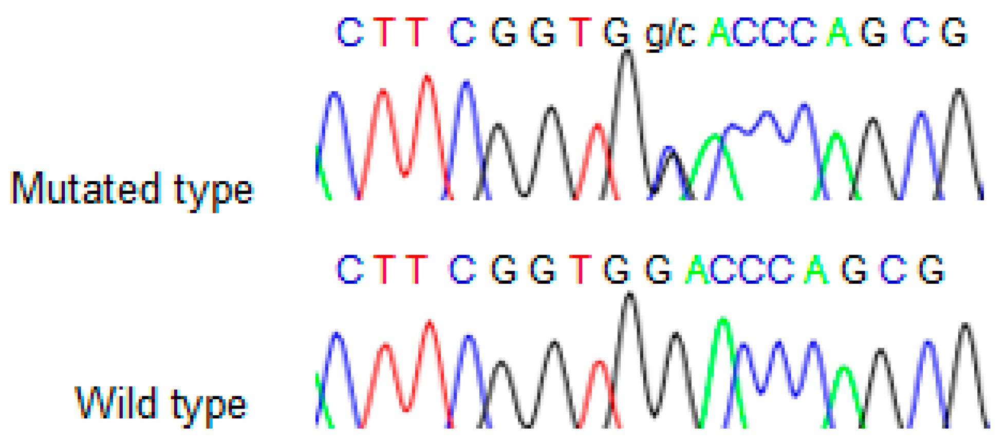 Genes 10 00899 g002